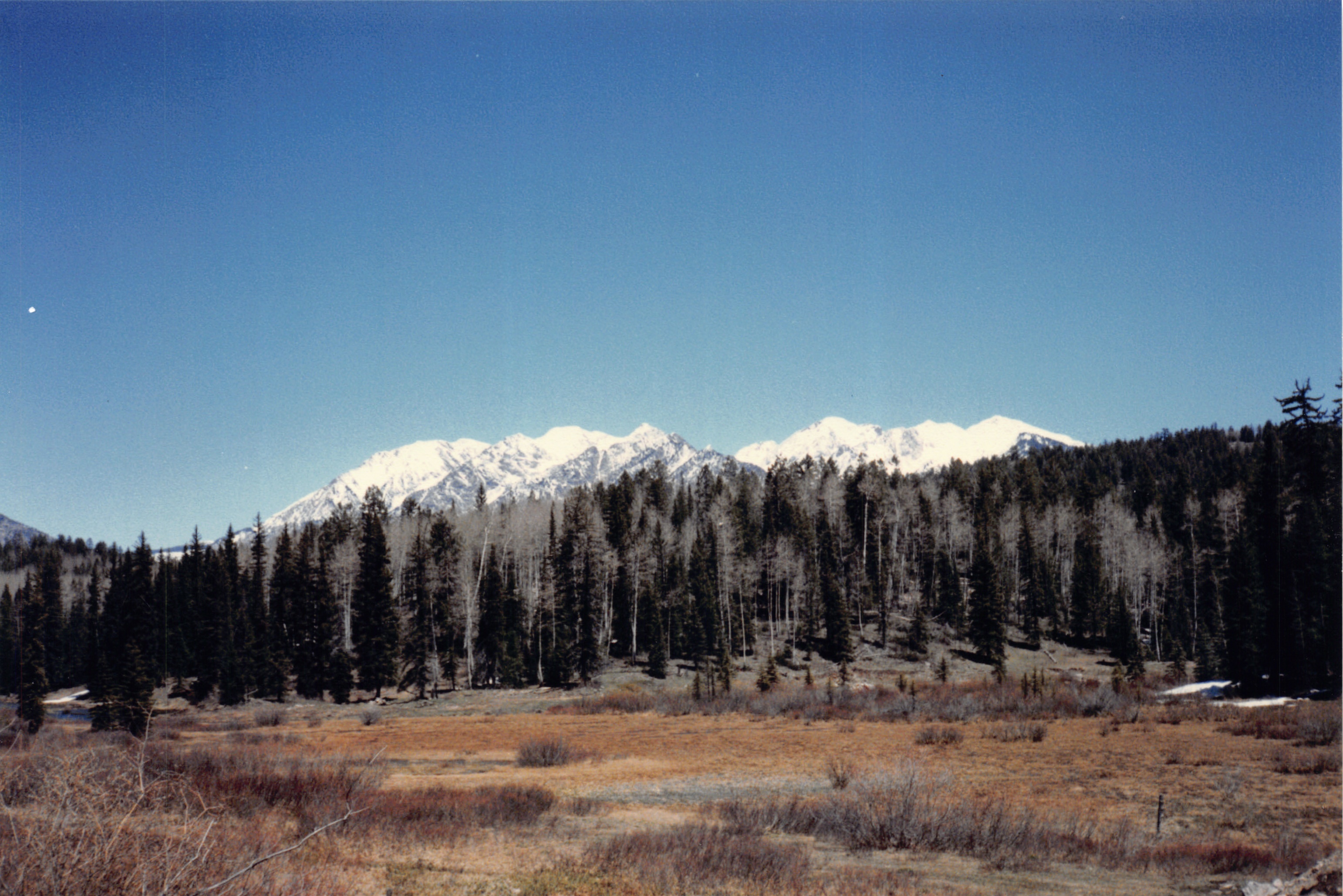 1986_23.jpg
