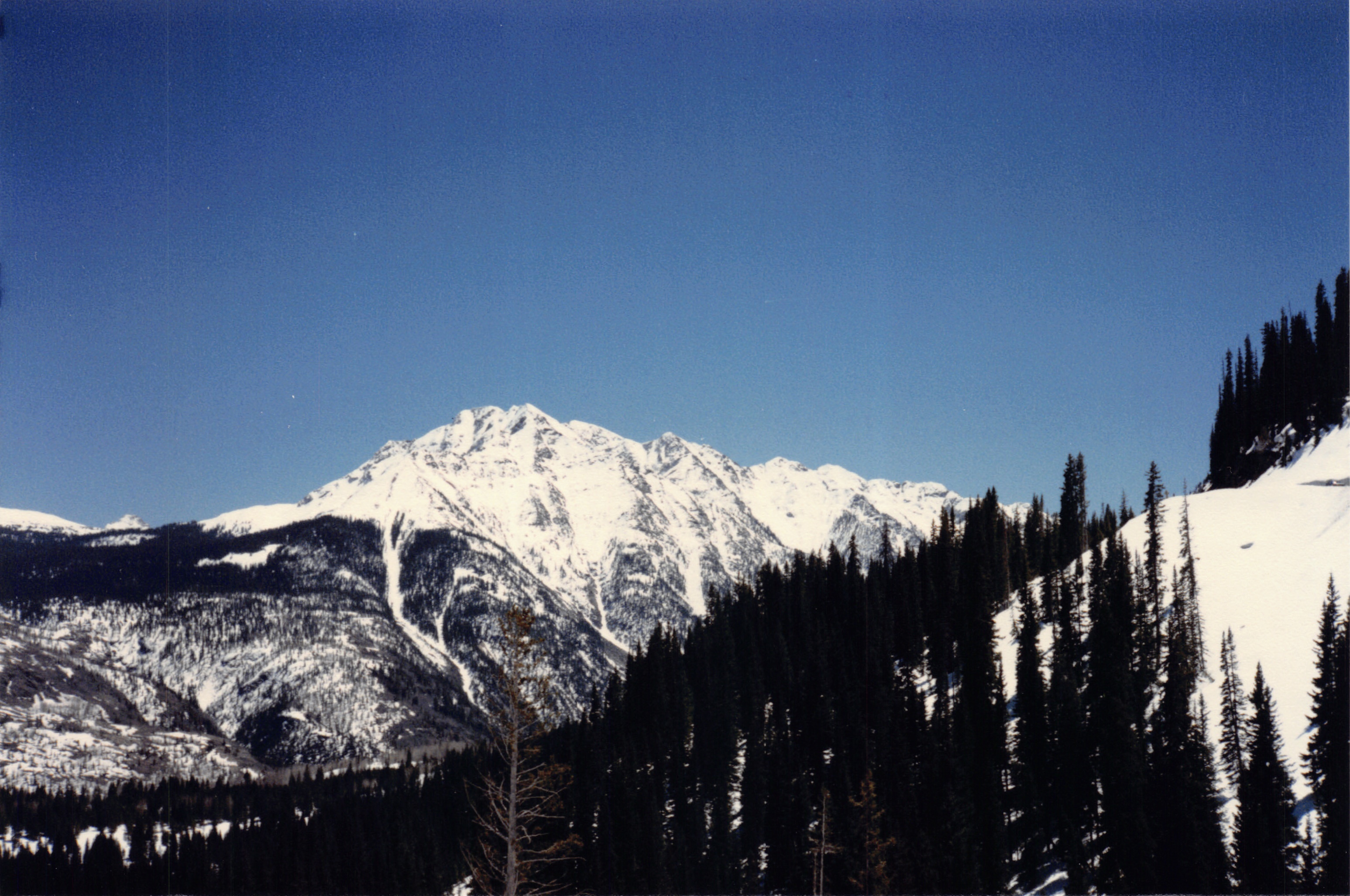 1986_24.jpg