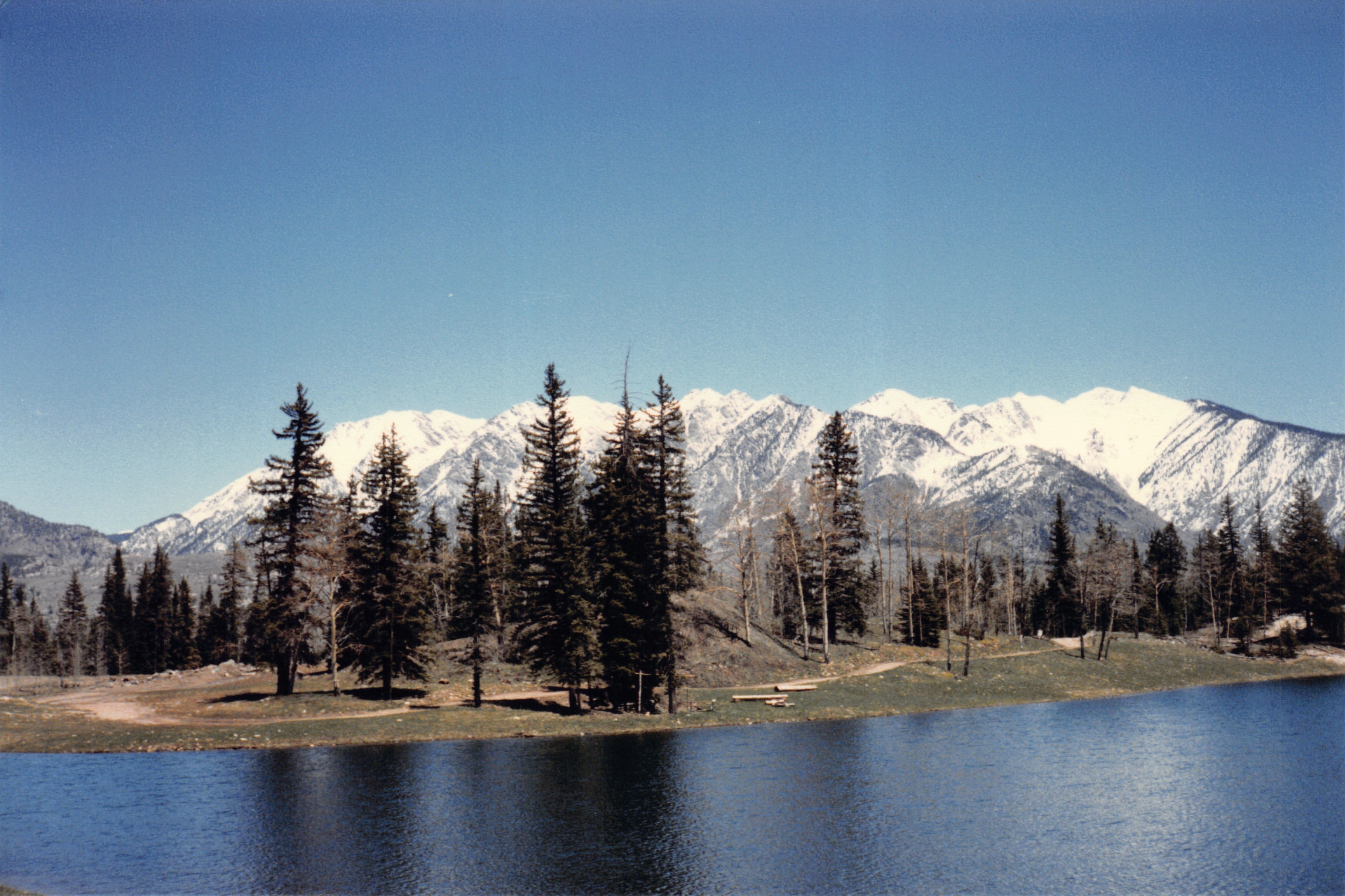 1986_26.jpg
