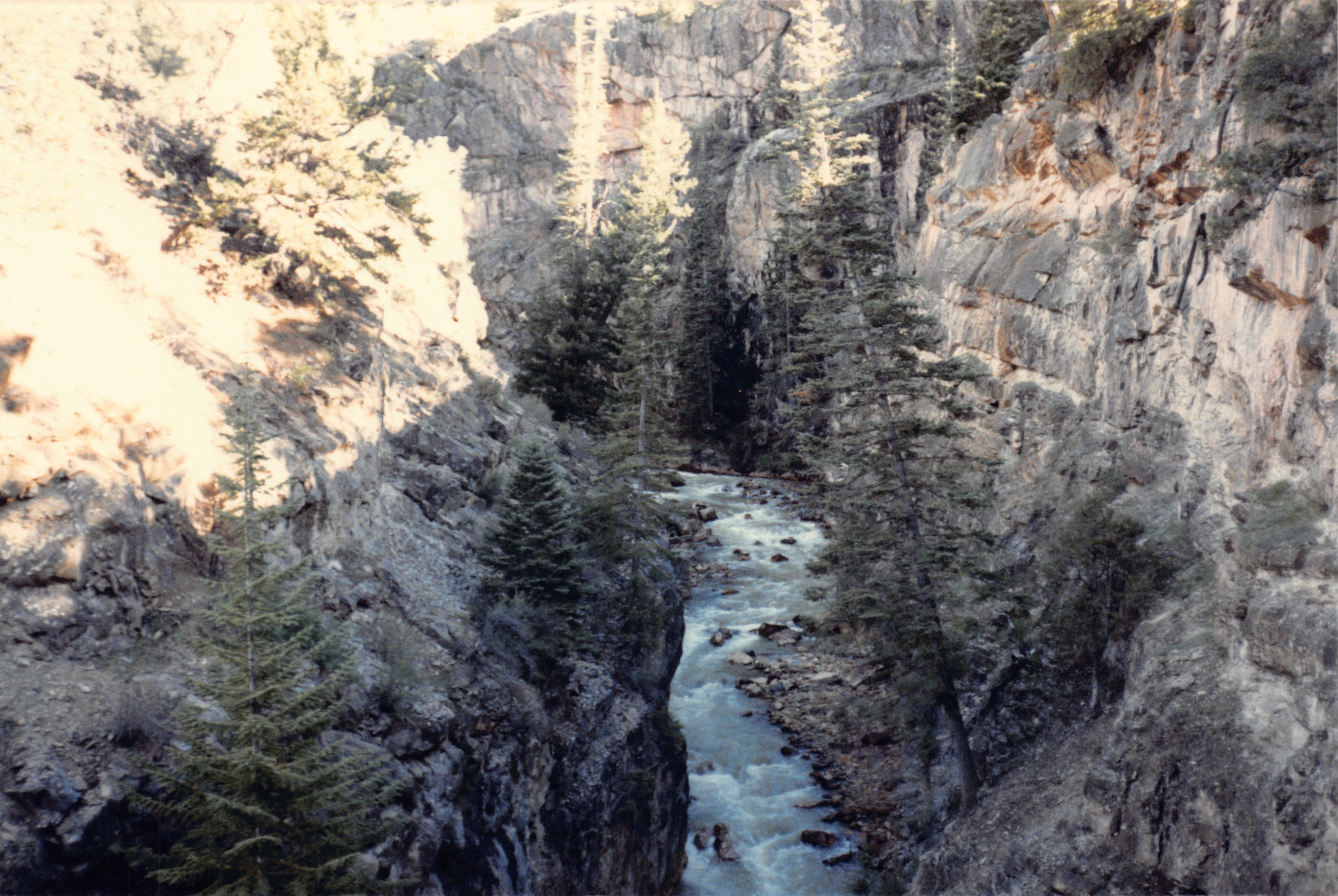 1986_40.jpg