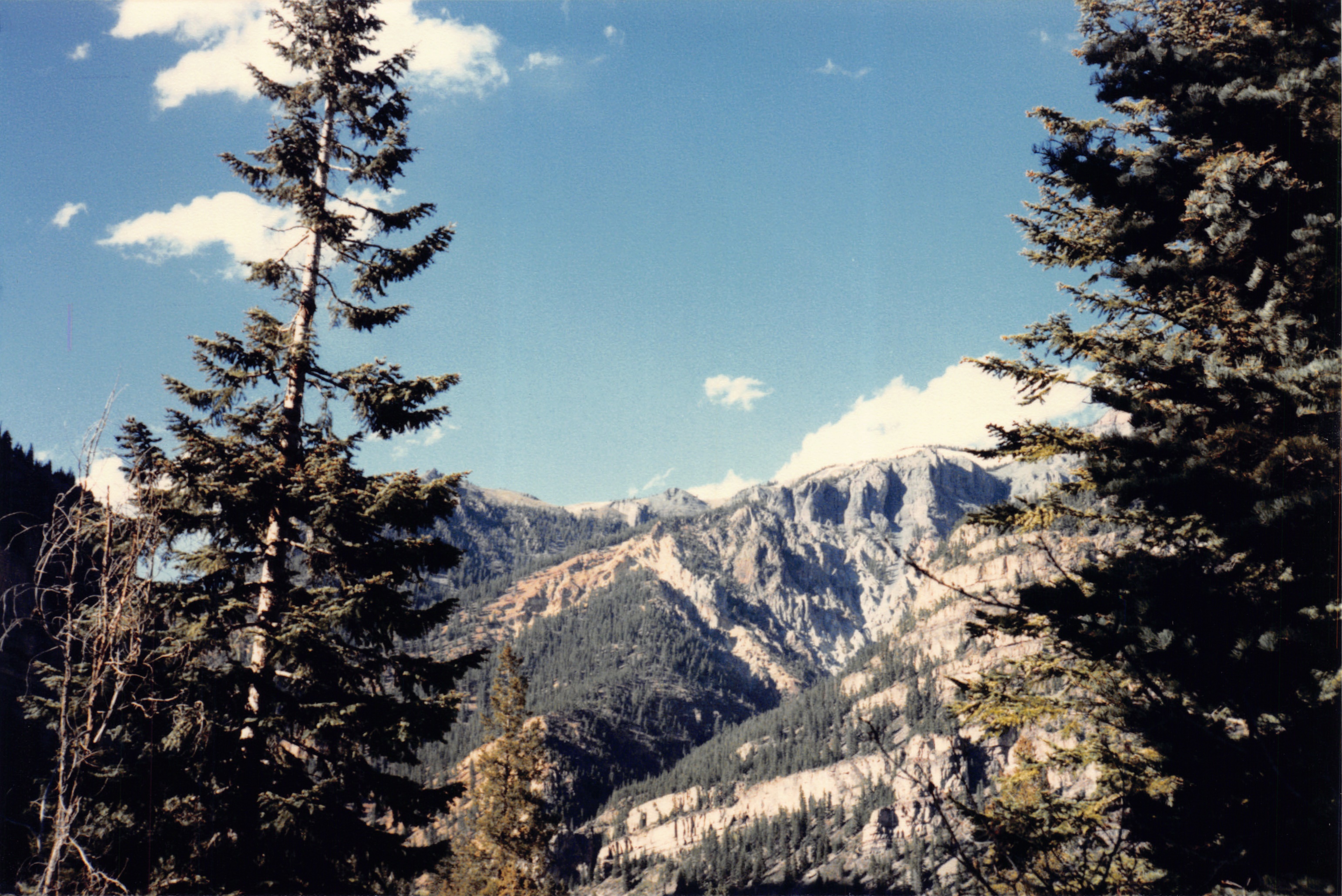 1986_41.jpg