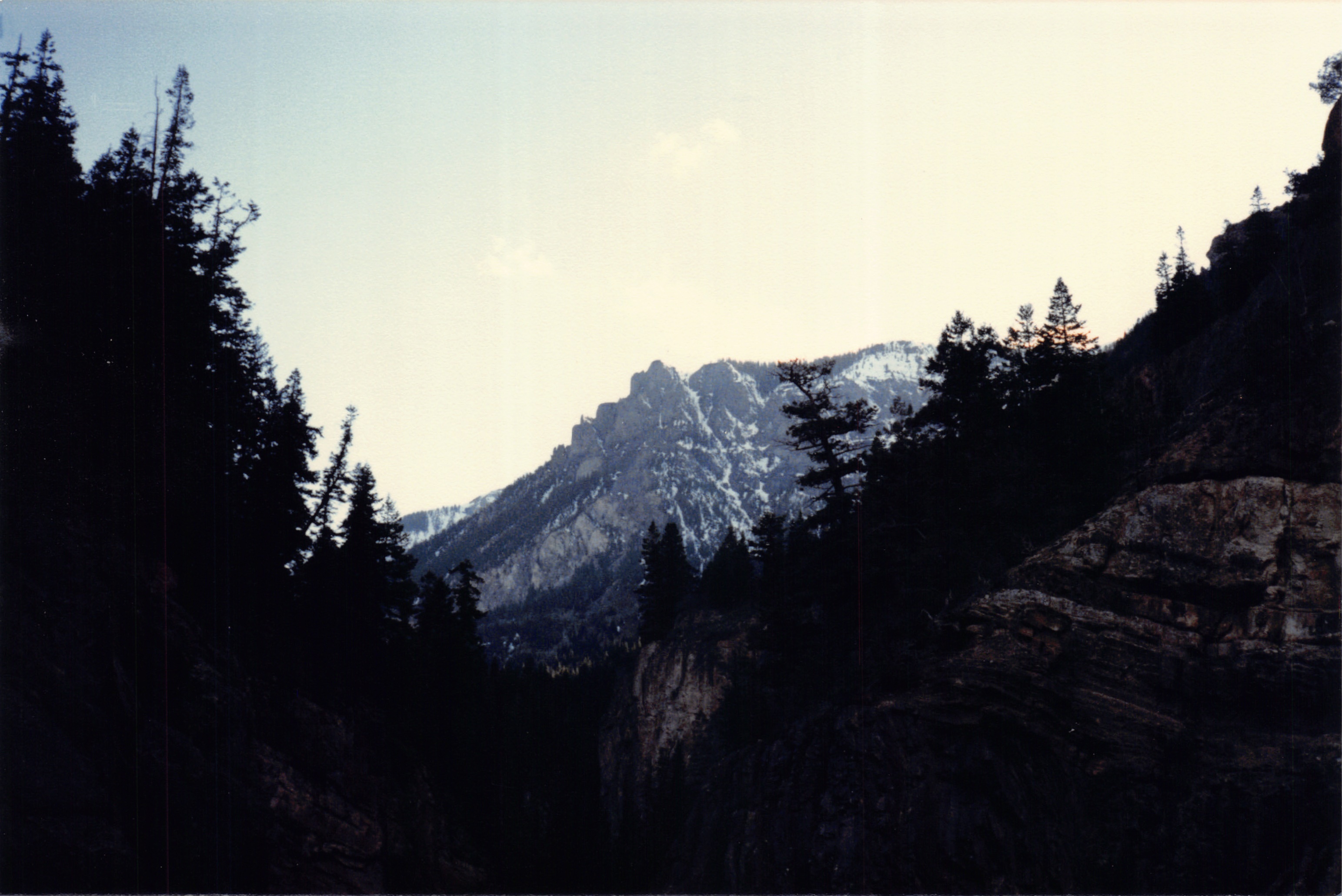 1986_42.jpg