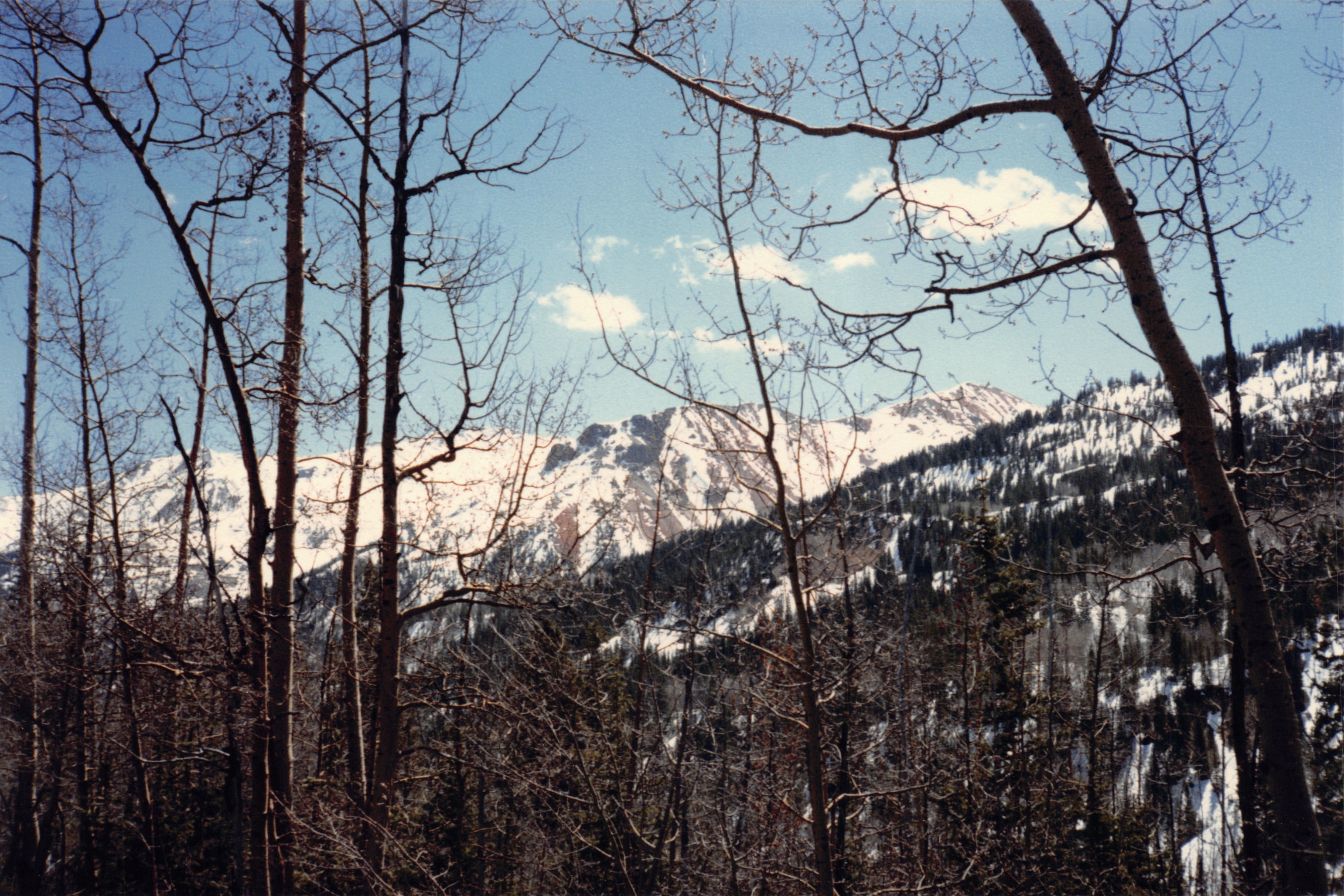 1986_53.jpg