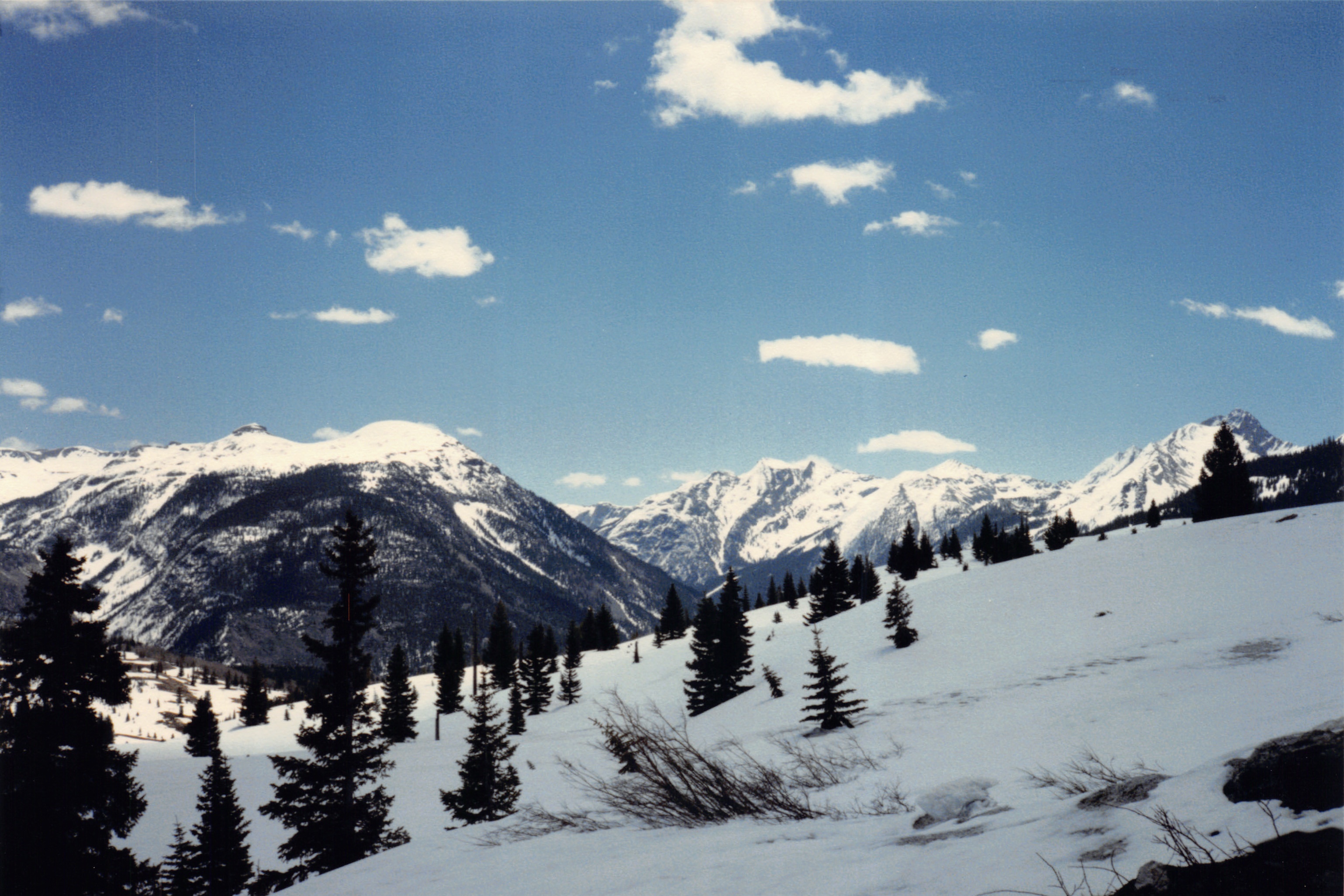 1986_60.jpg