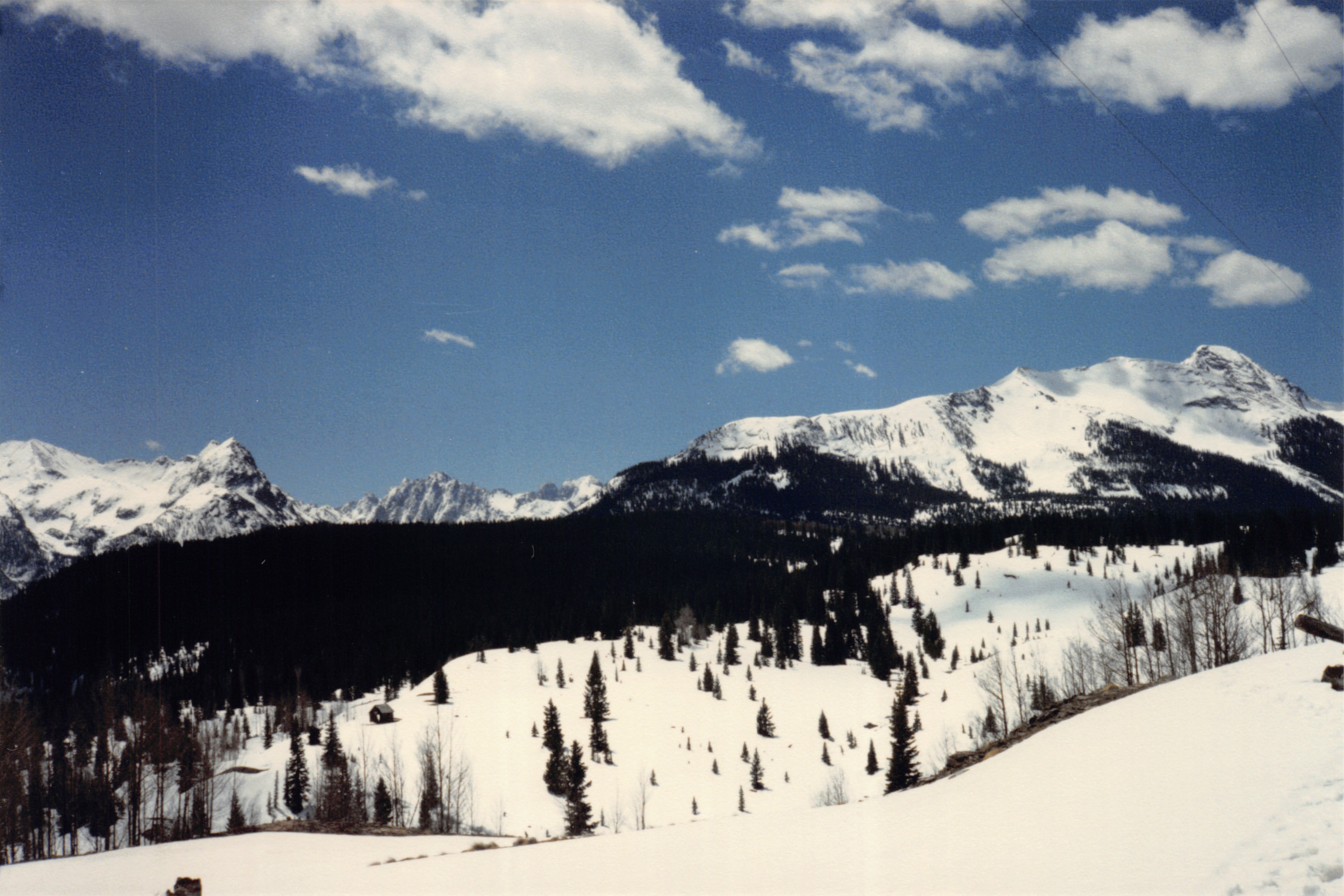 1986_62.jpg