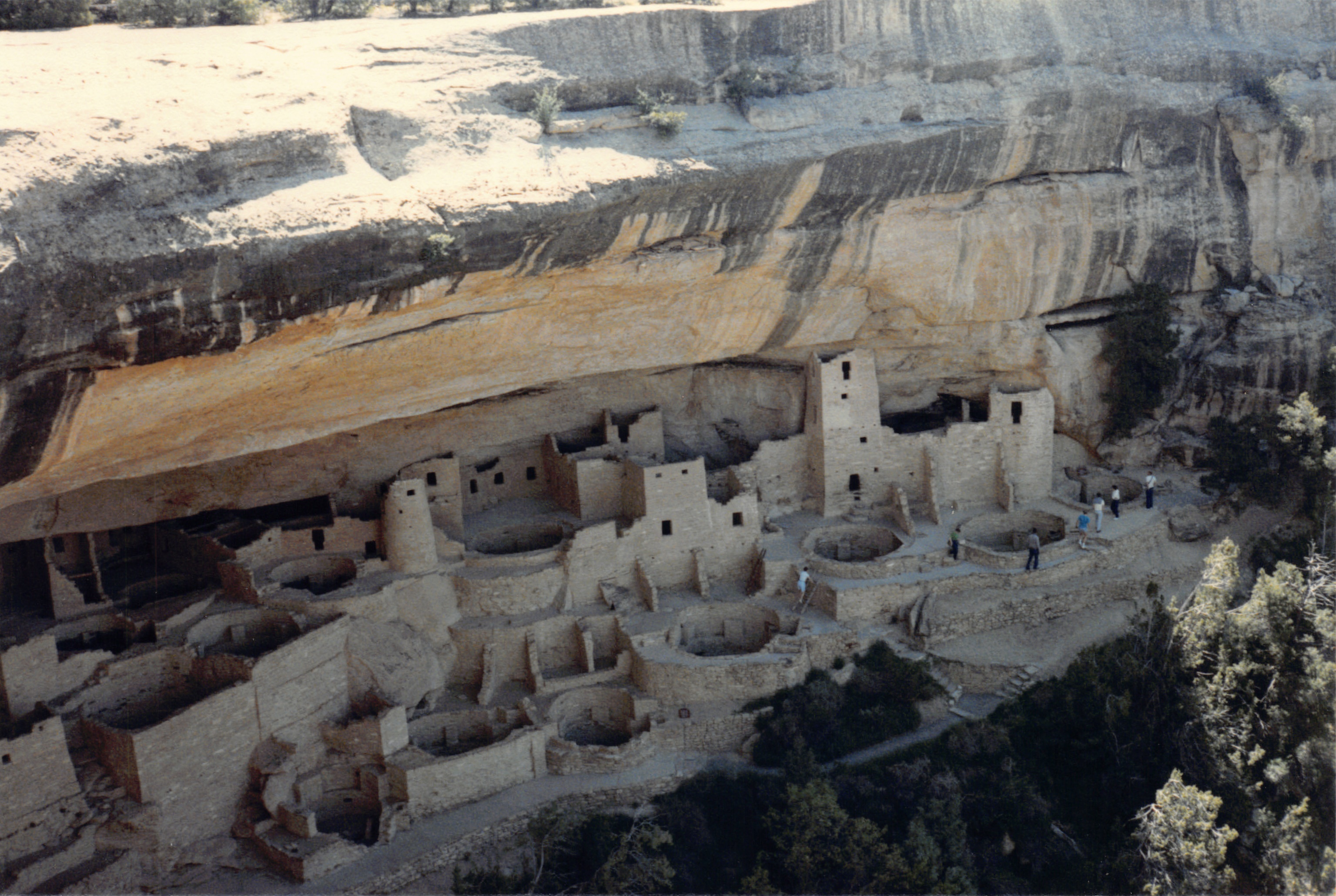 1986_71.jpg