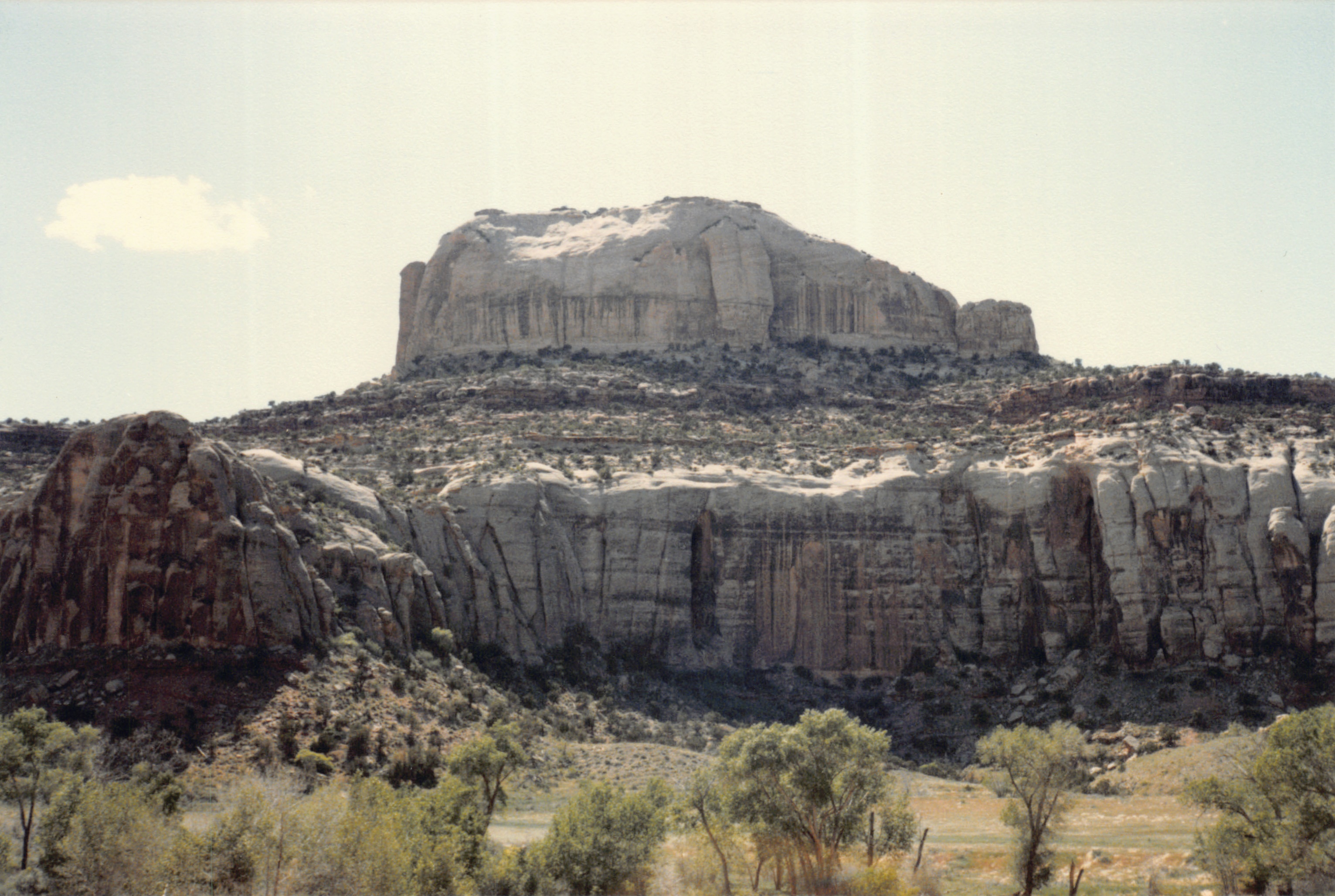 1986_73.jpg