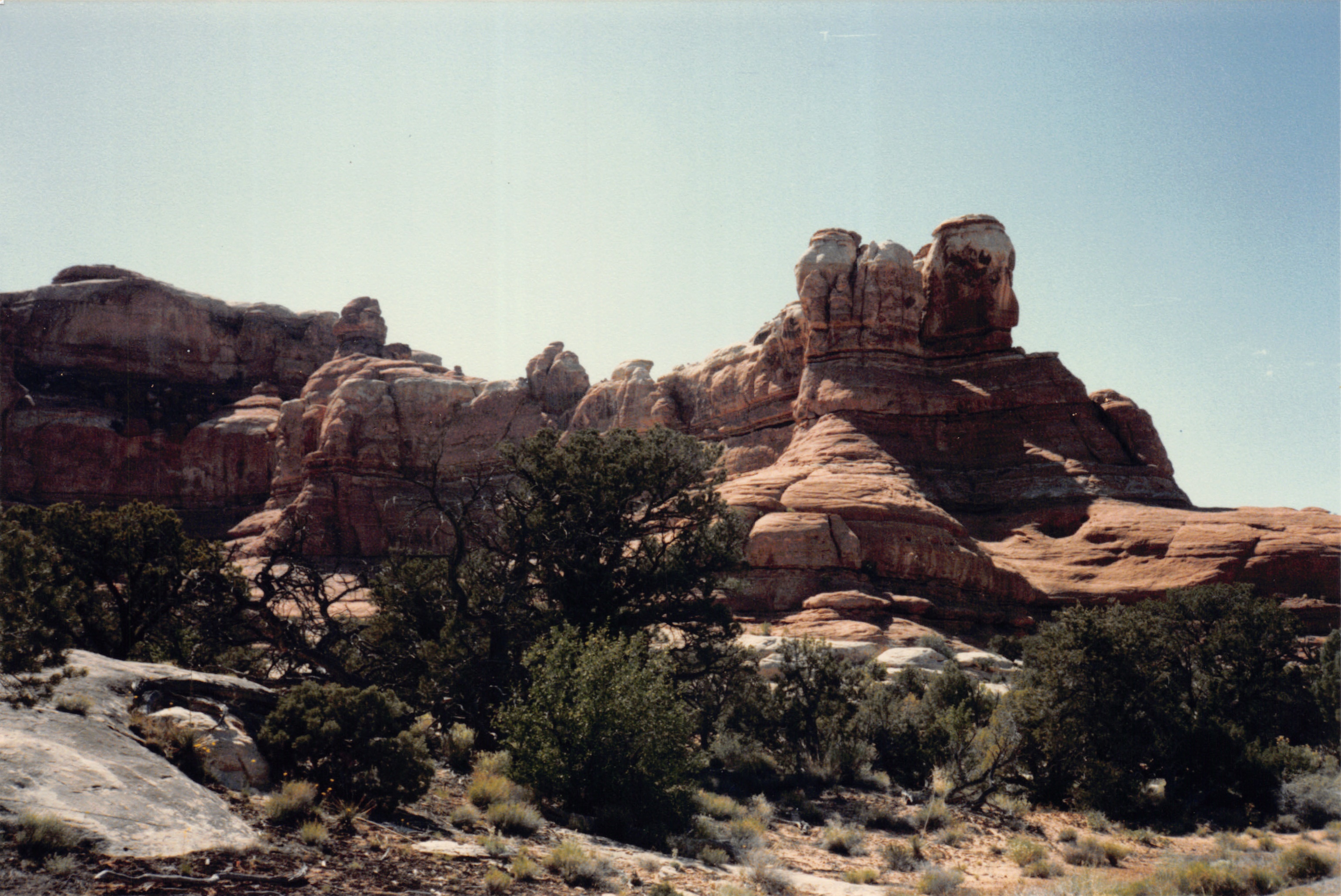 1986_74.jpg