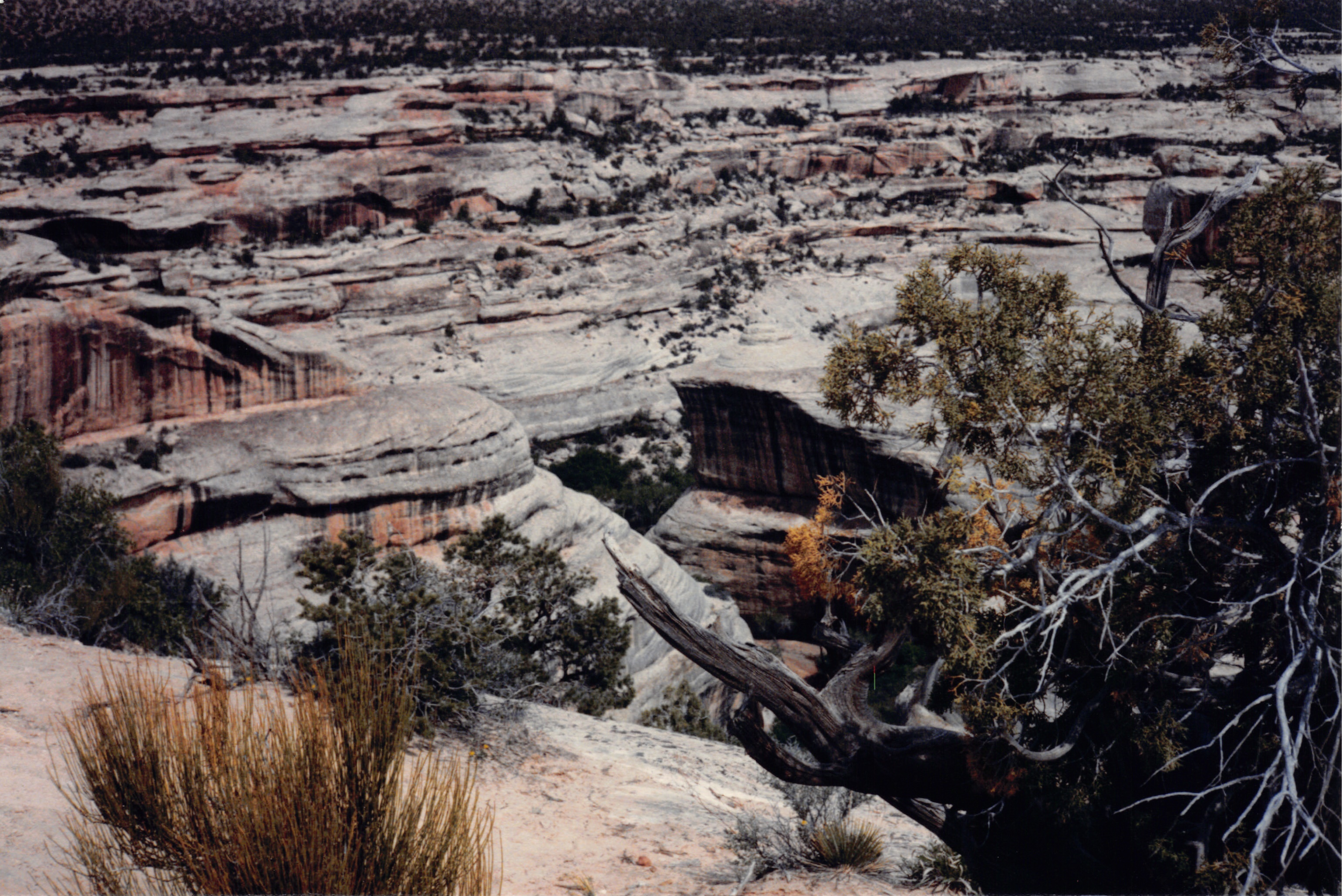 1986_75.jpg