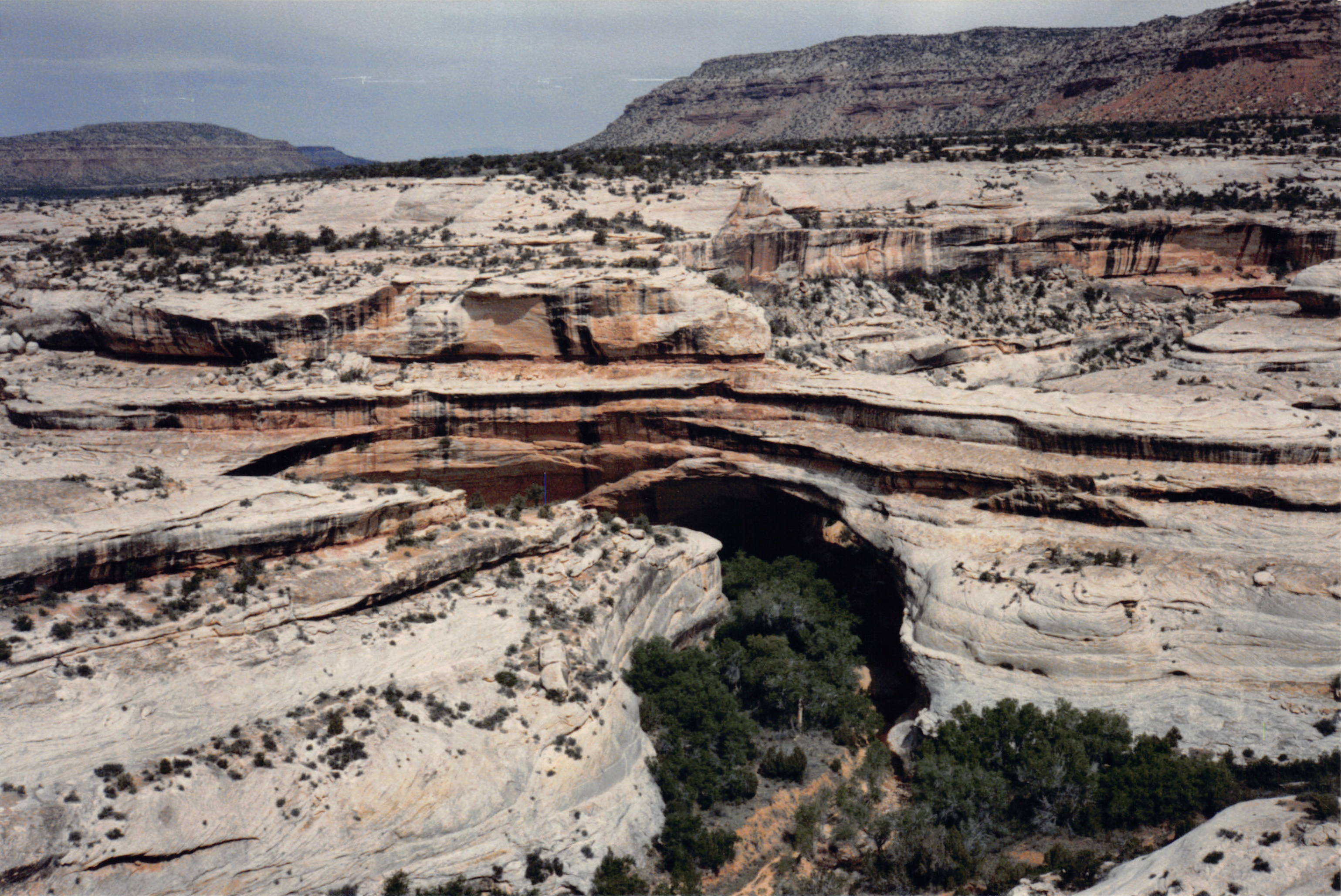 1986_78.jpg