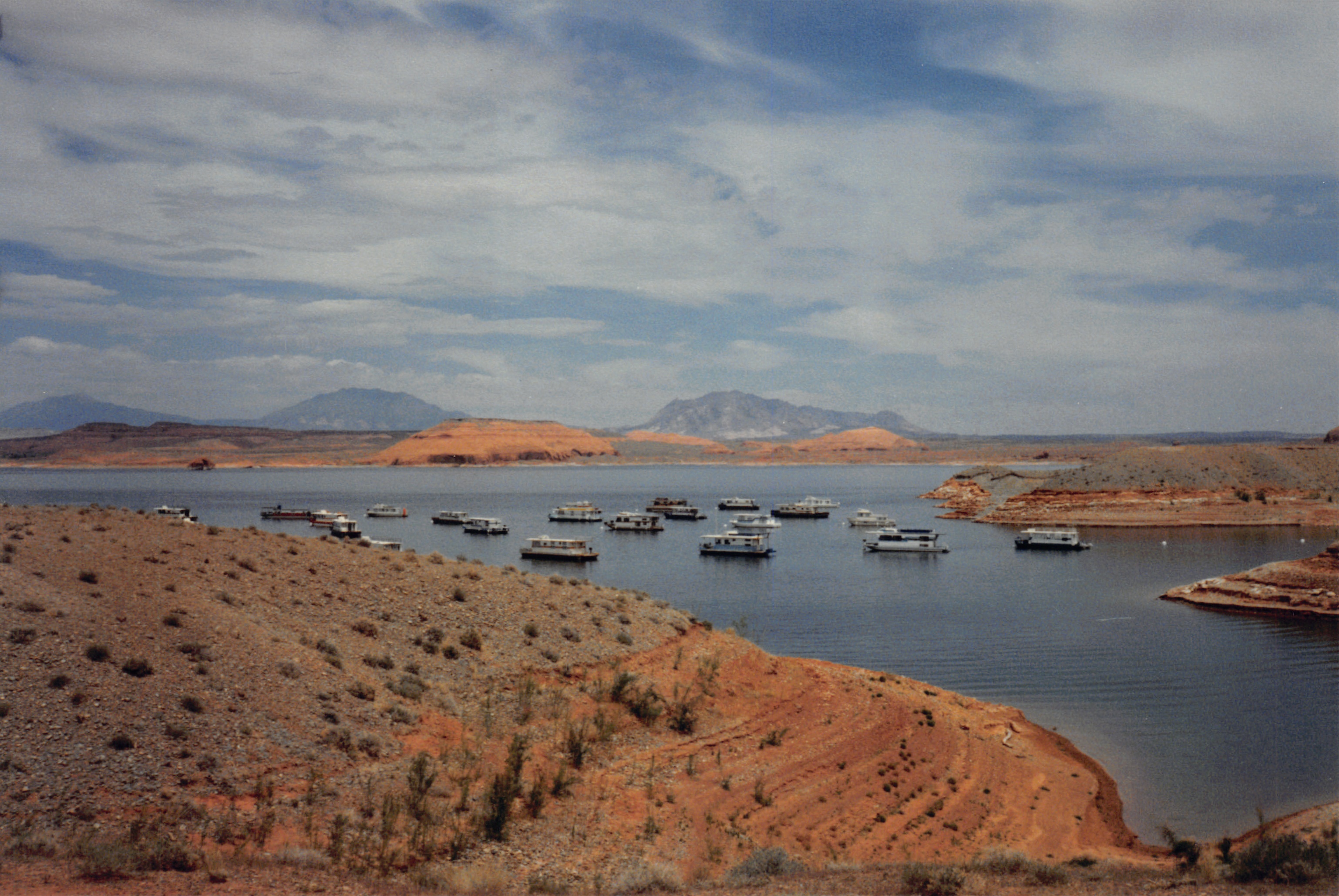 1986_80.jpg