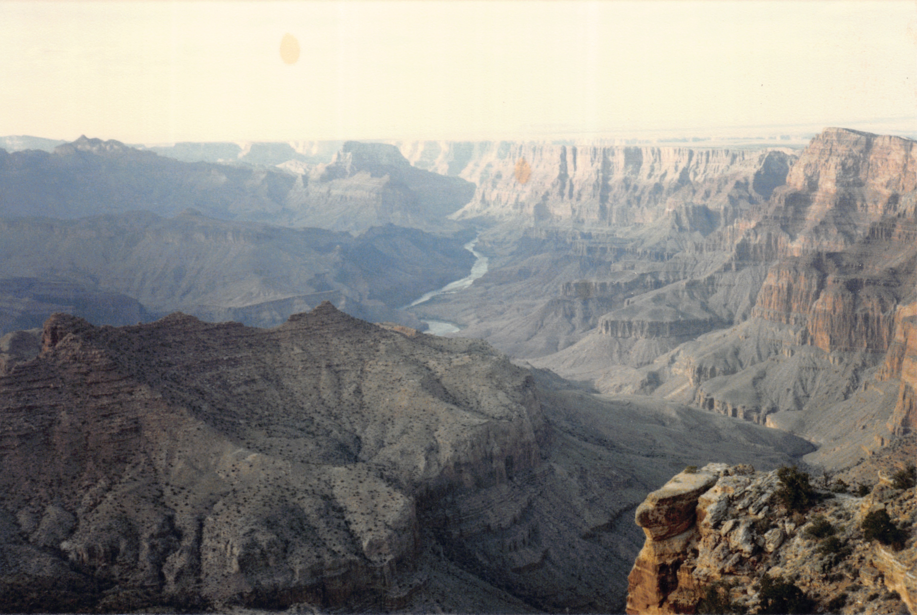 1986_85.jpg