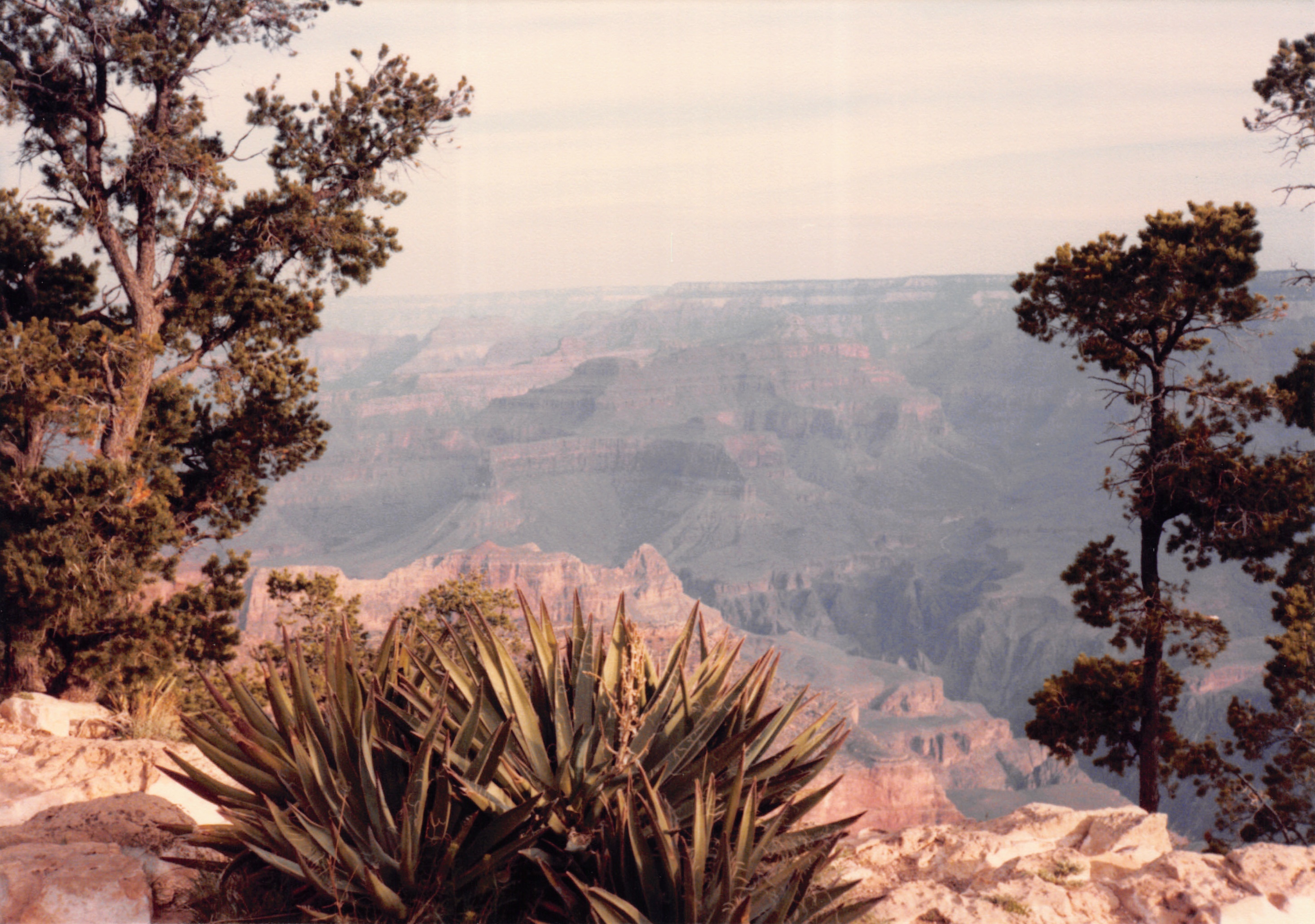 1986_91.jpg