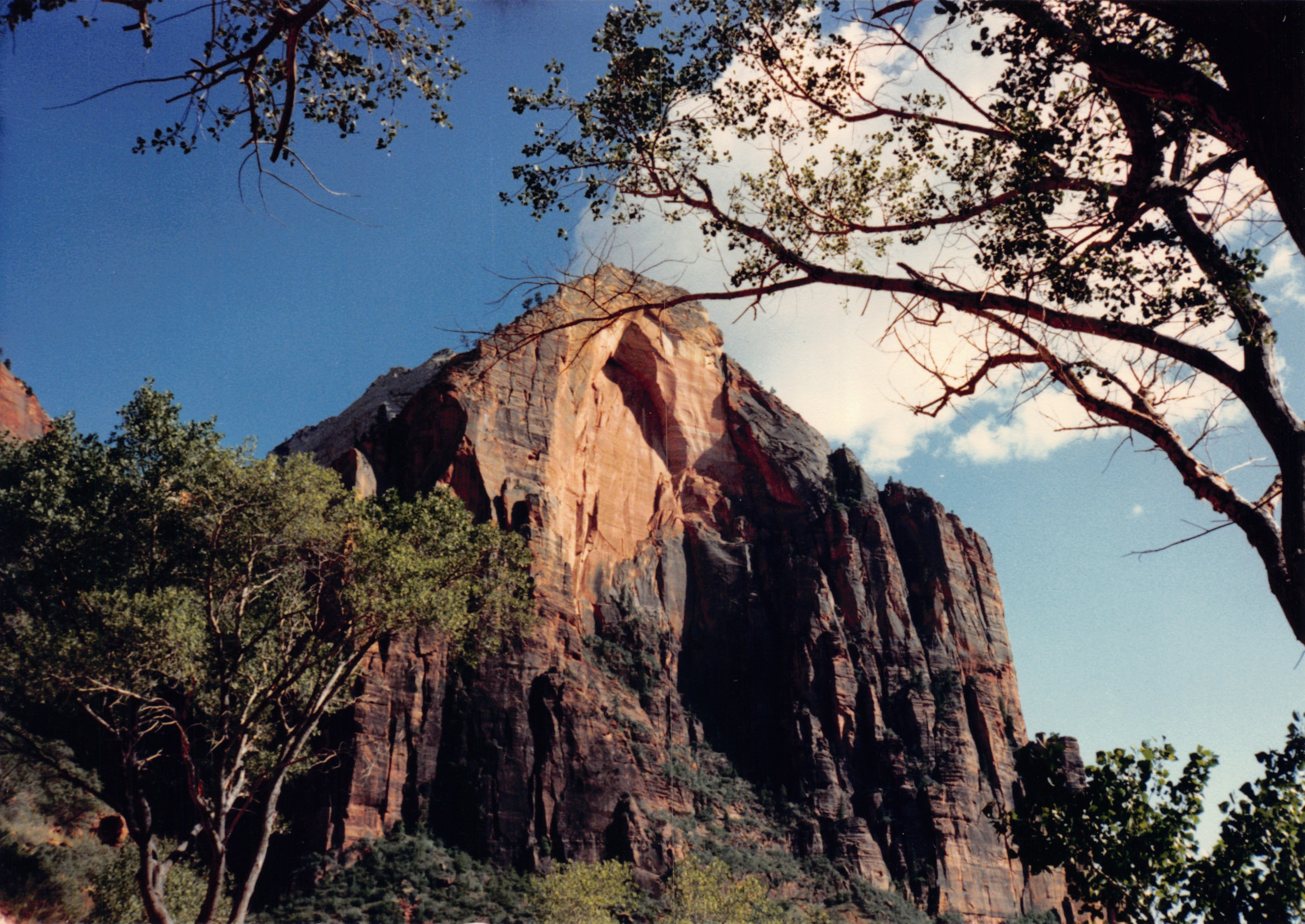 1987_13.jpg