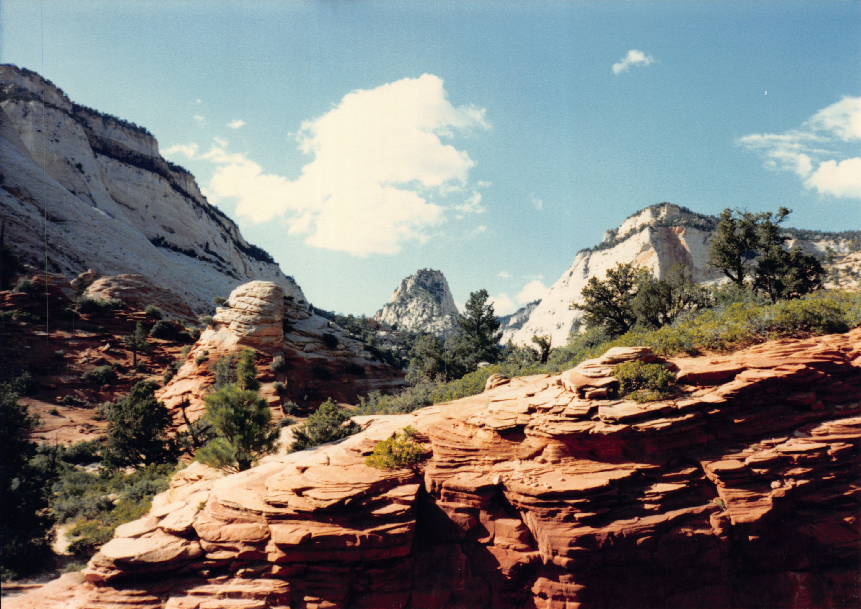 1987_15.jpg