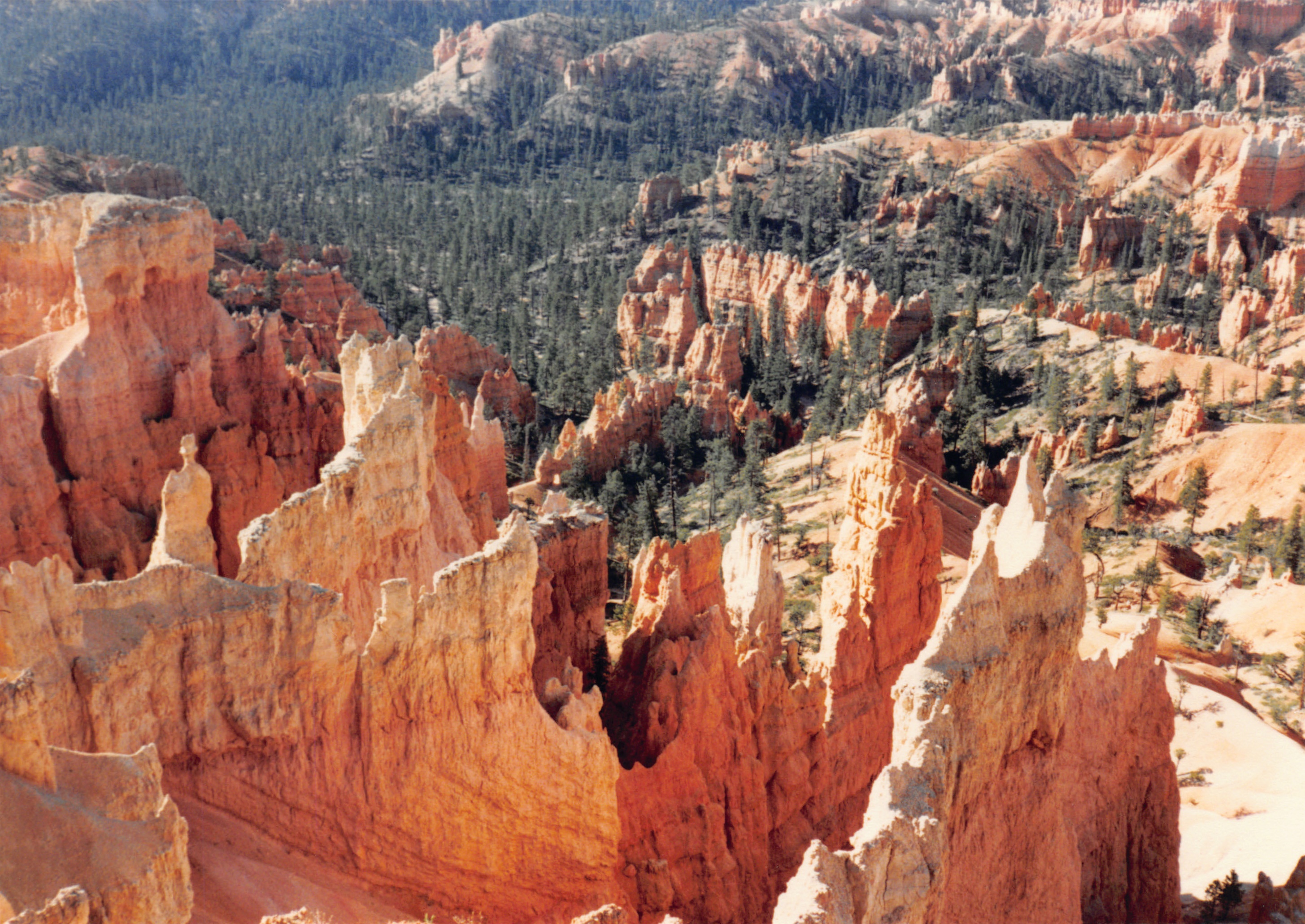 1987_24.jpg