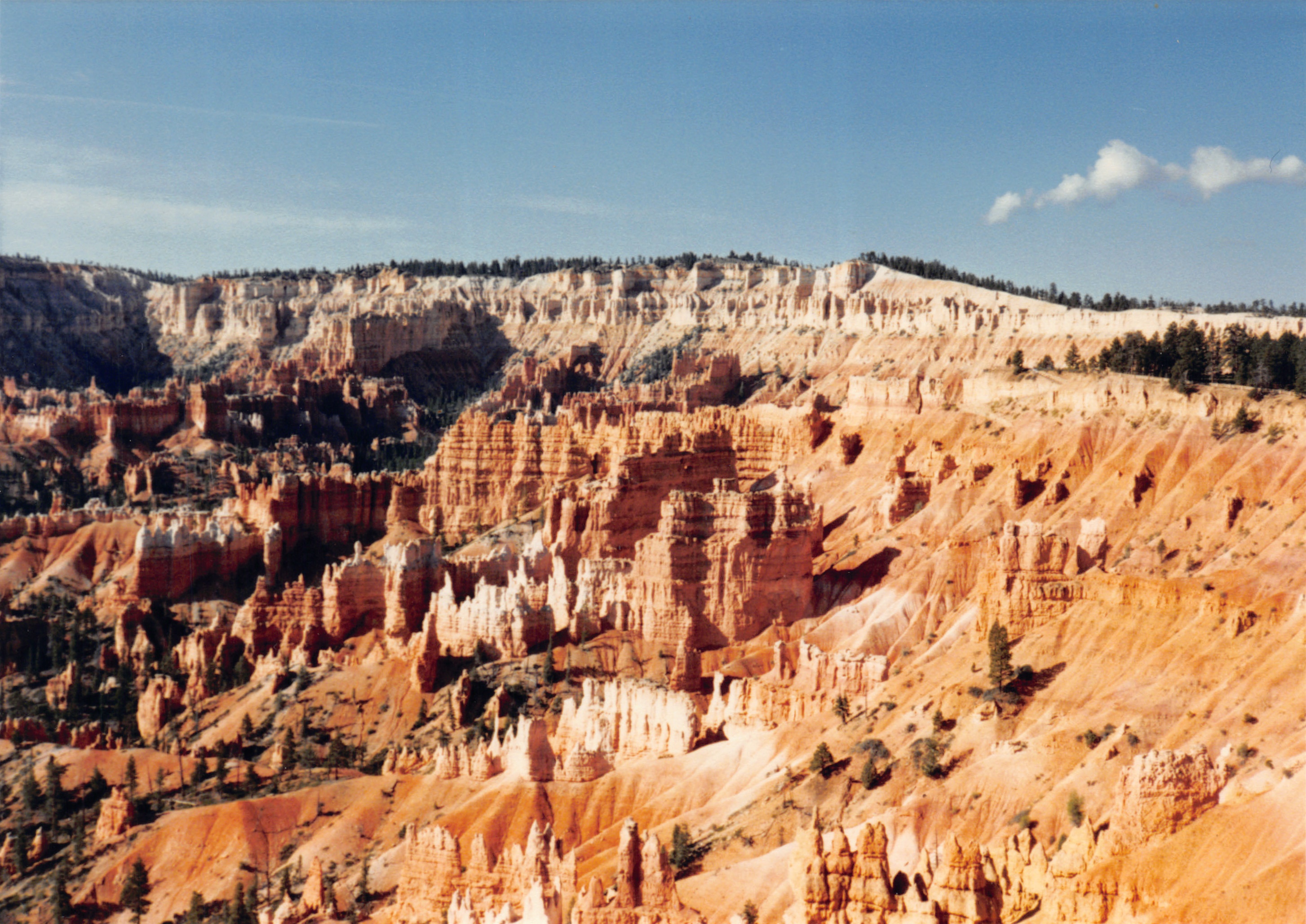 1987_25.jpg