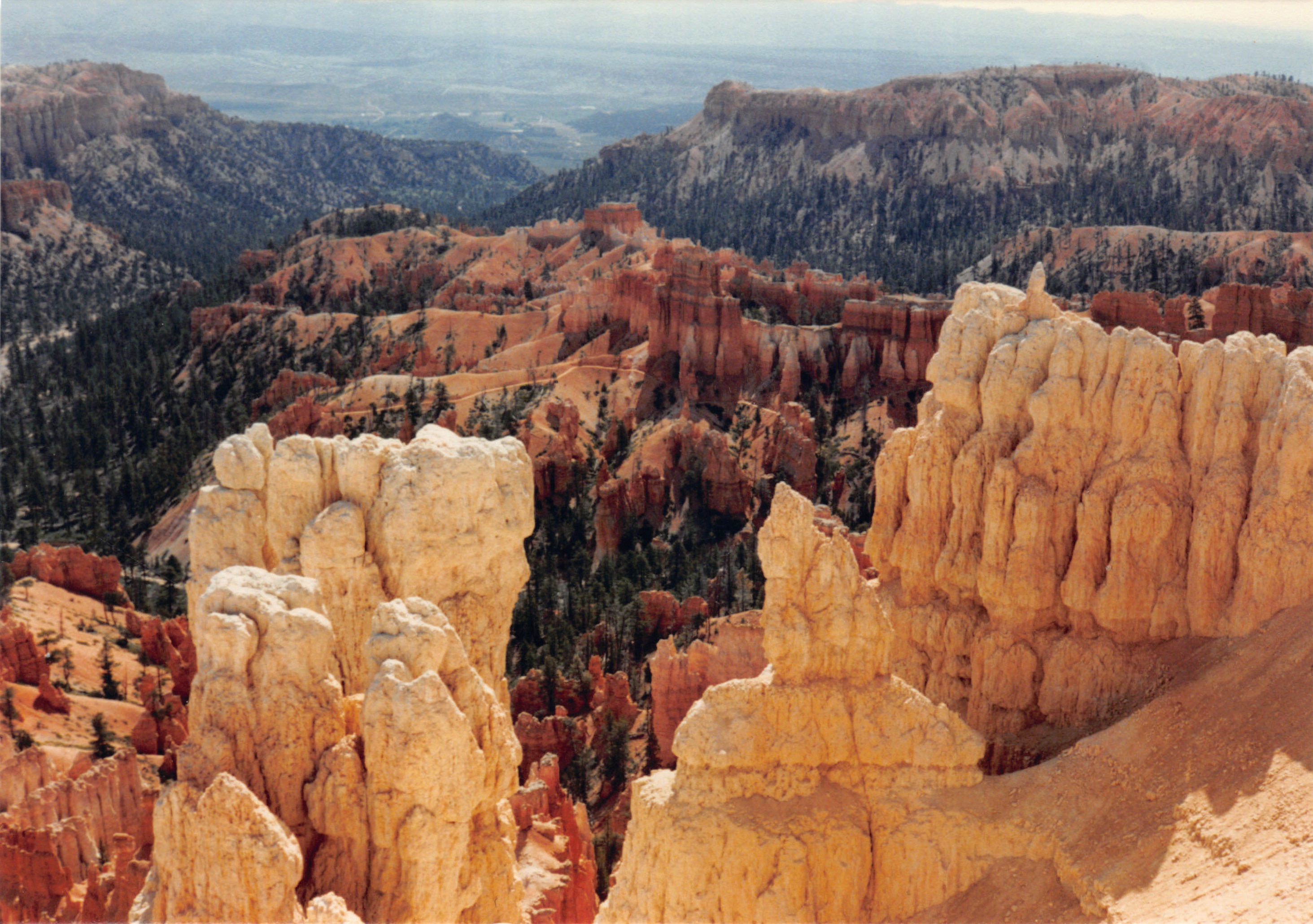 1987_29.jpg