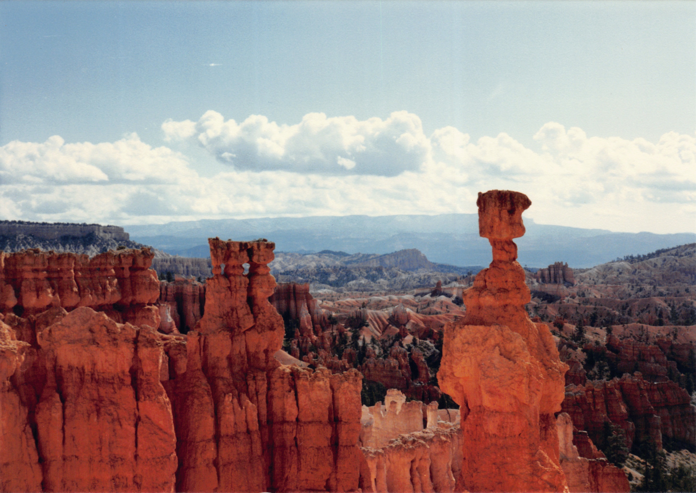 1987_31.jpg