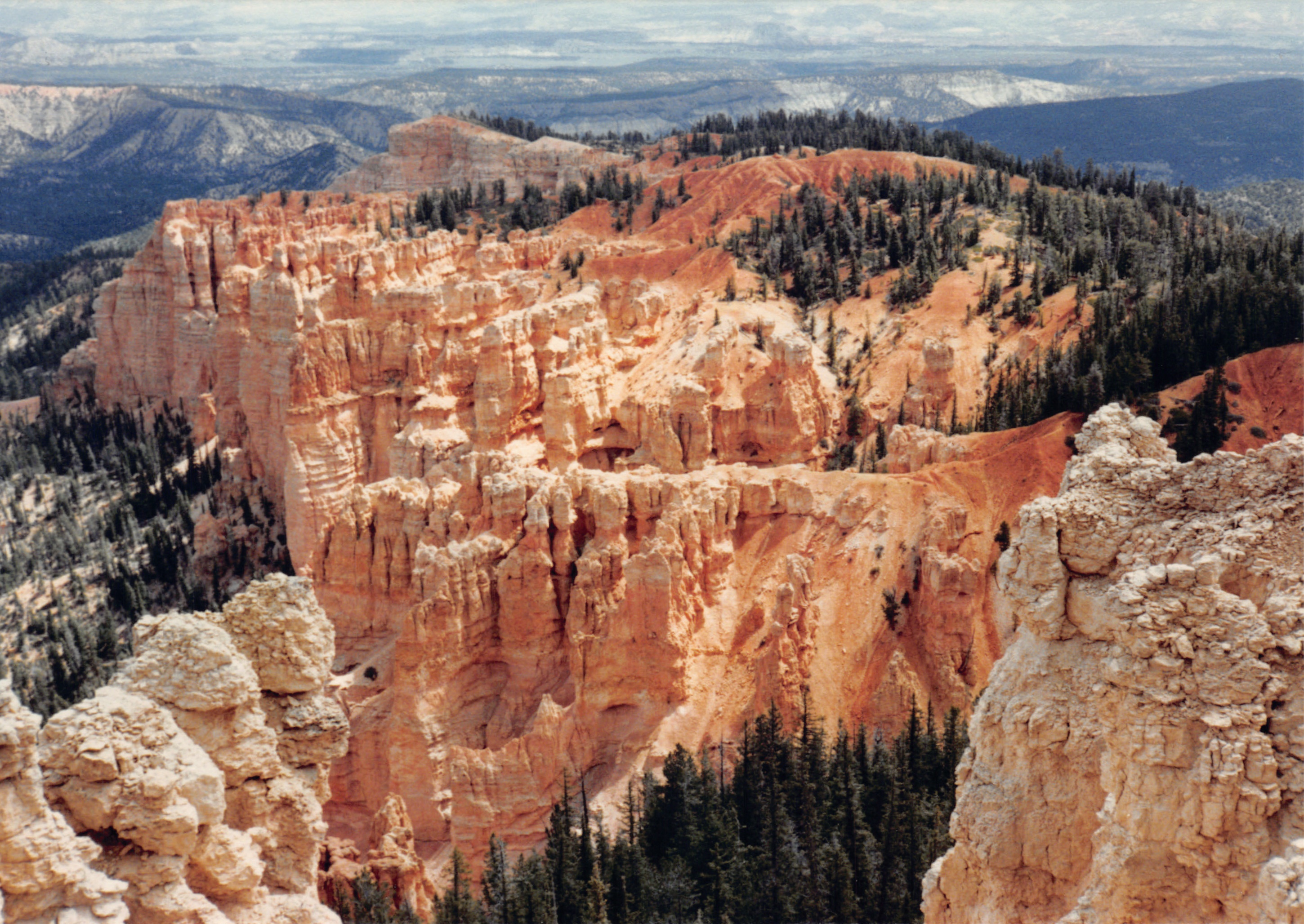 1987_32.jpg