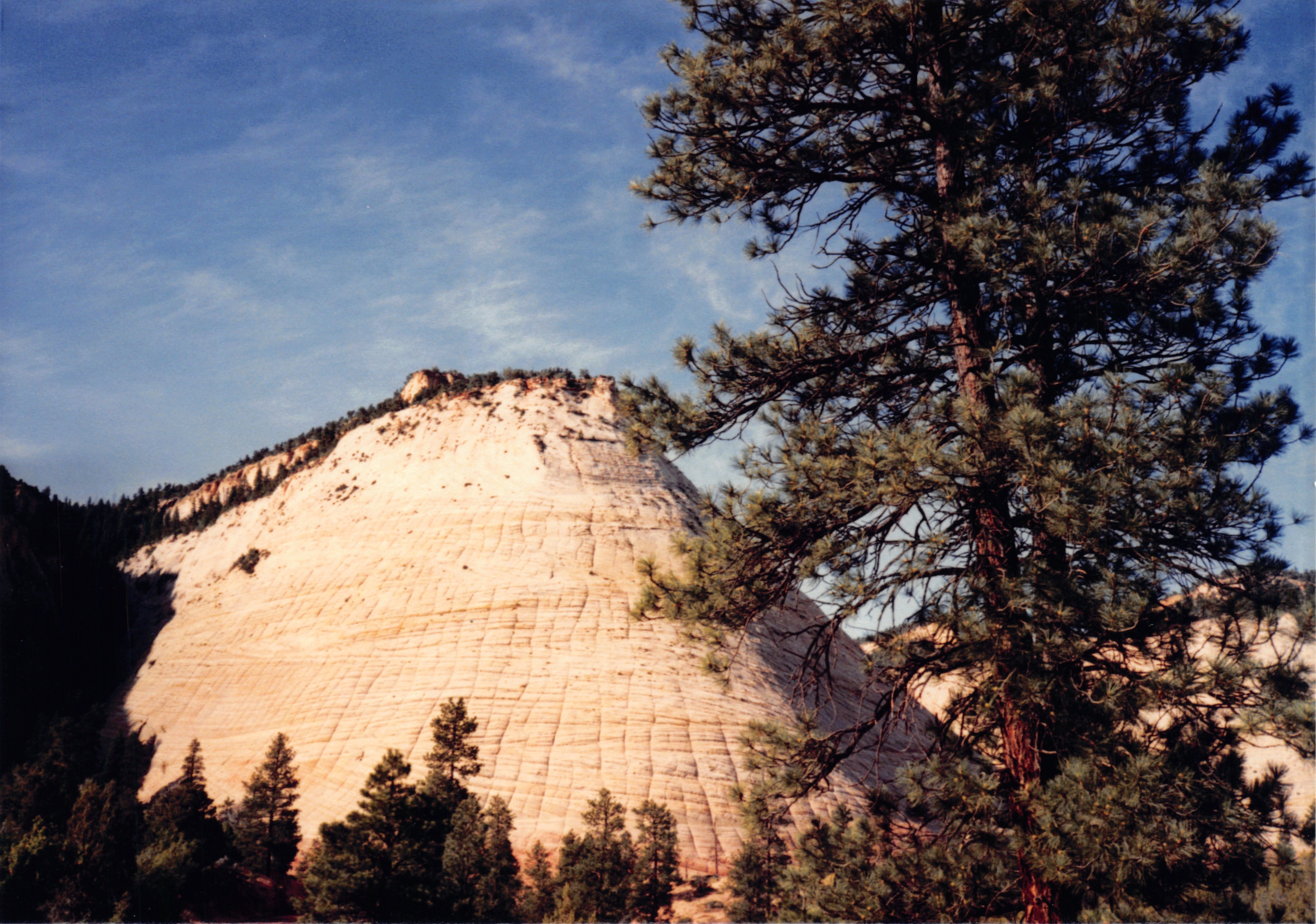 1987_37.jpg