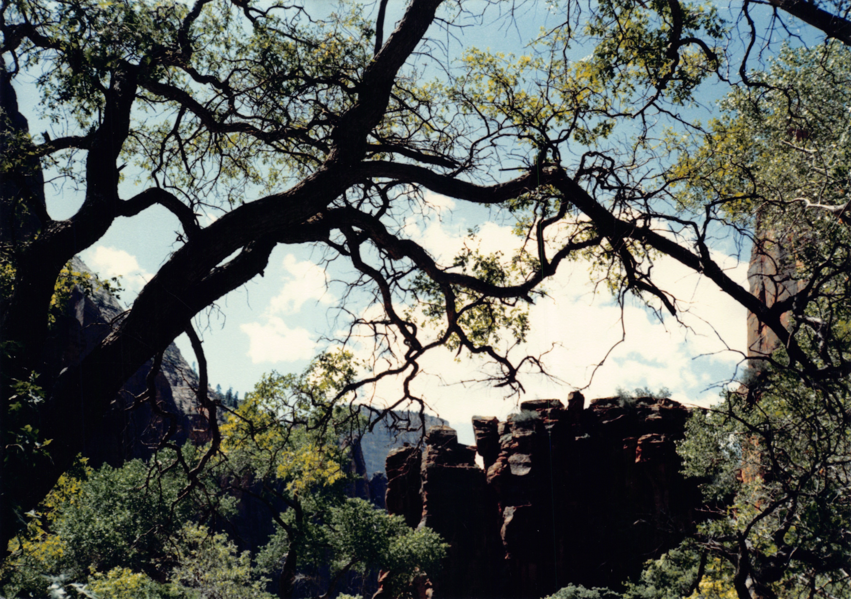 1987_41.jpg