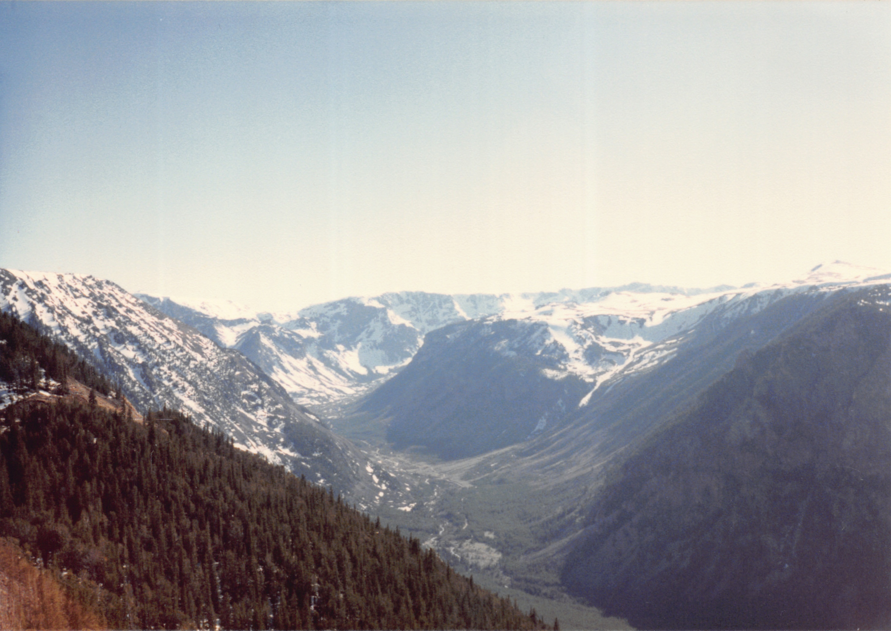 1988_005.jpg