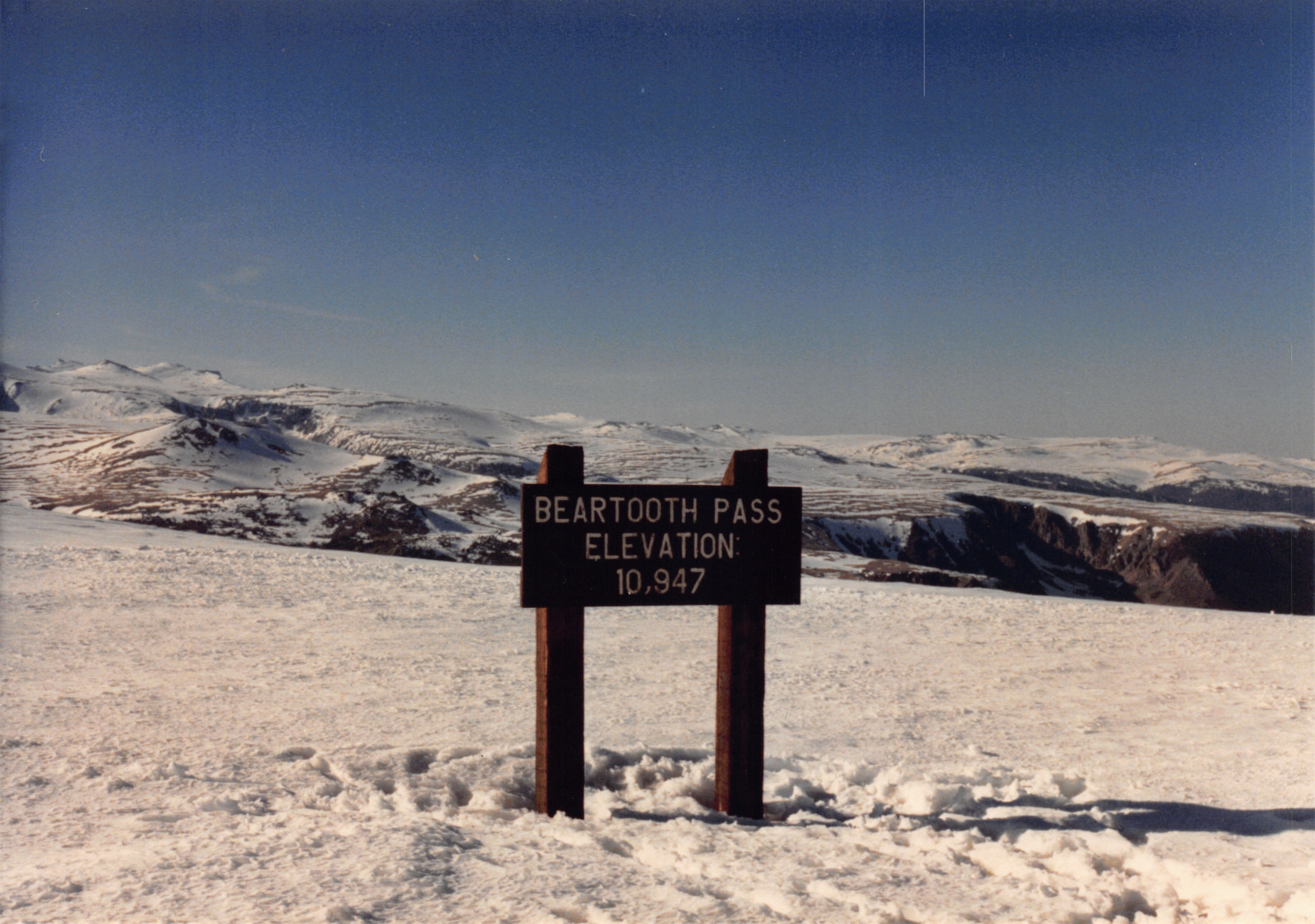 1988_006.jpg