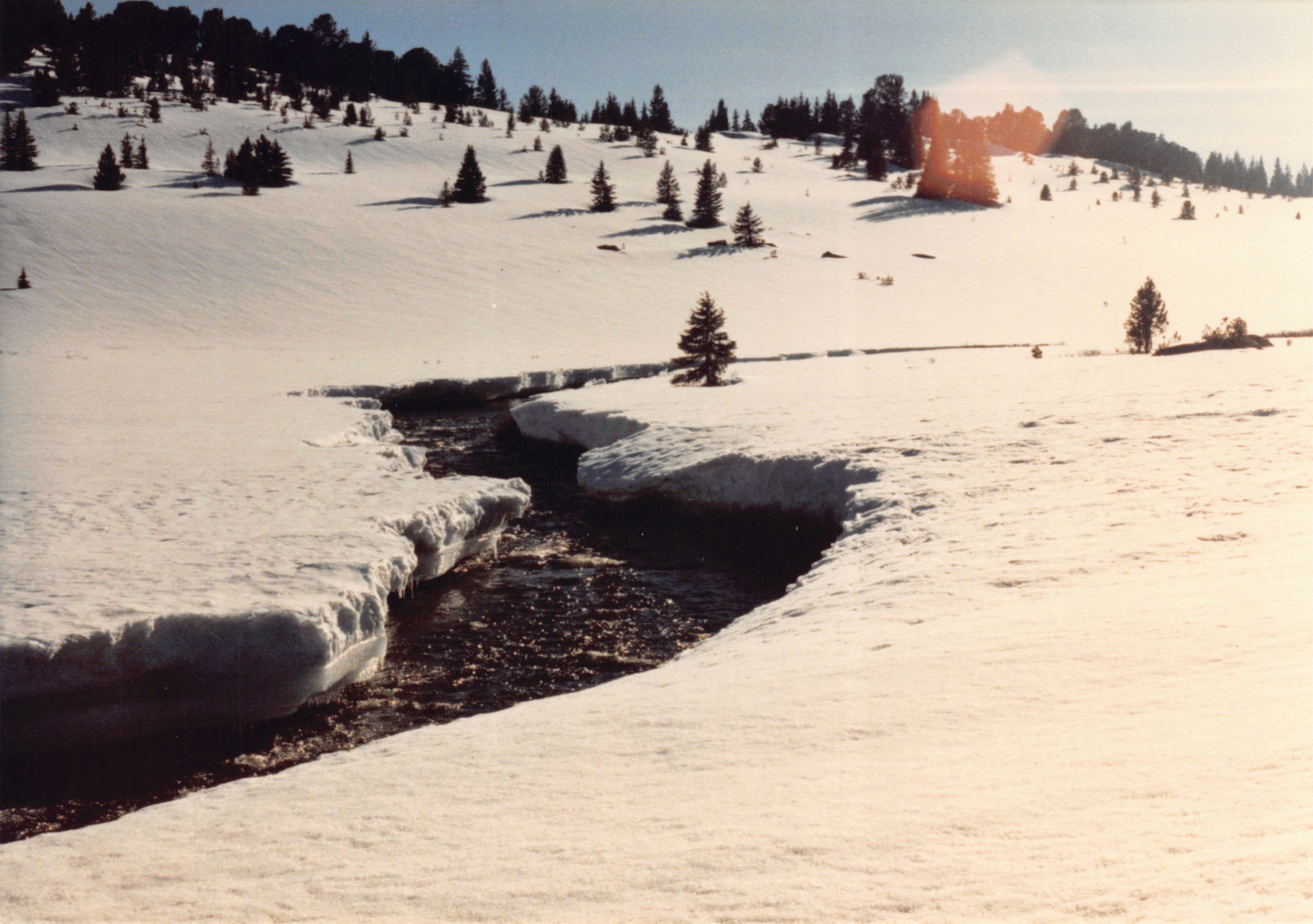 1988_015.jpg