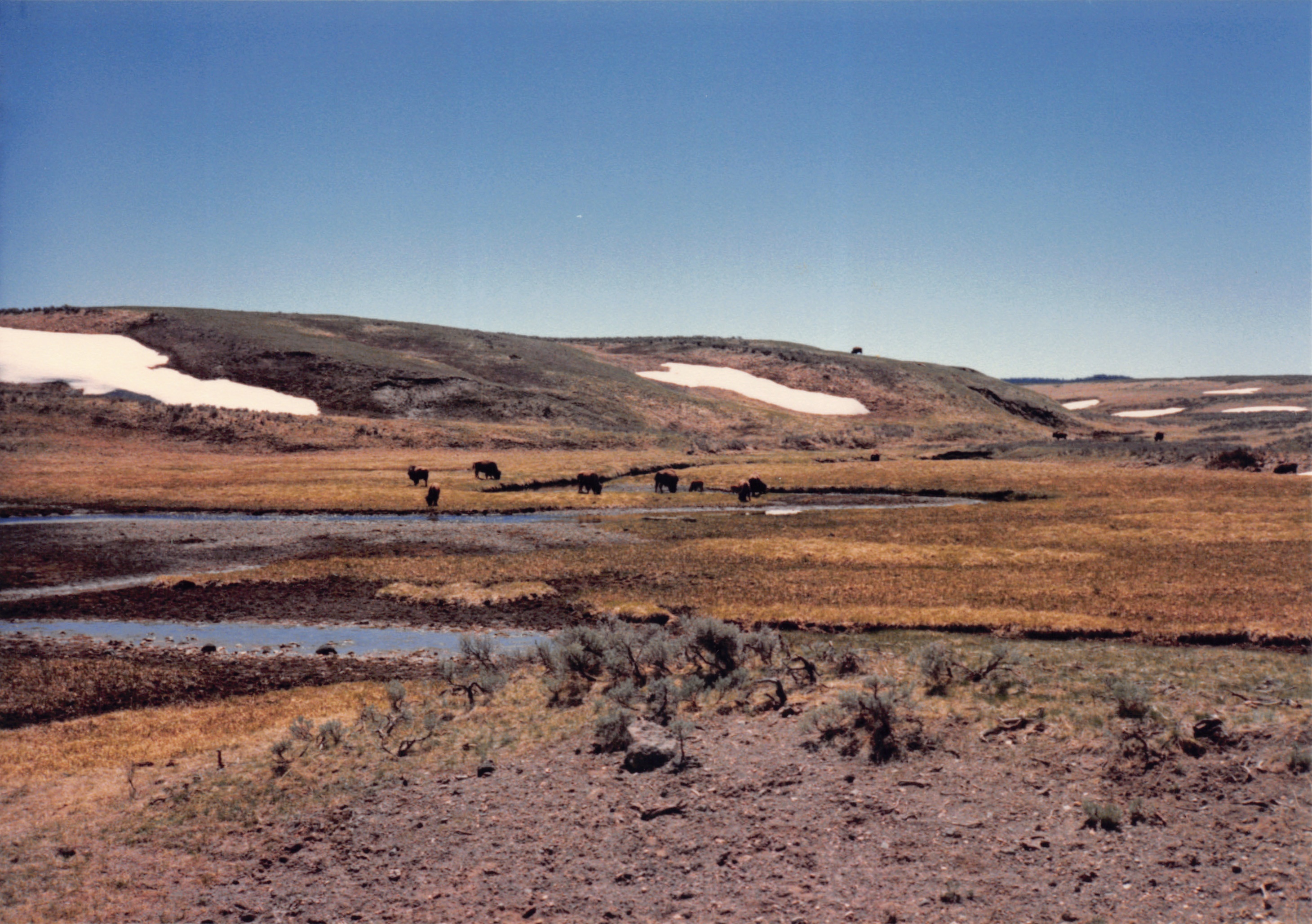 1988_018.jpg