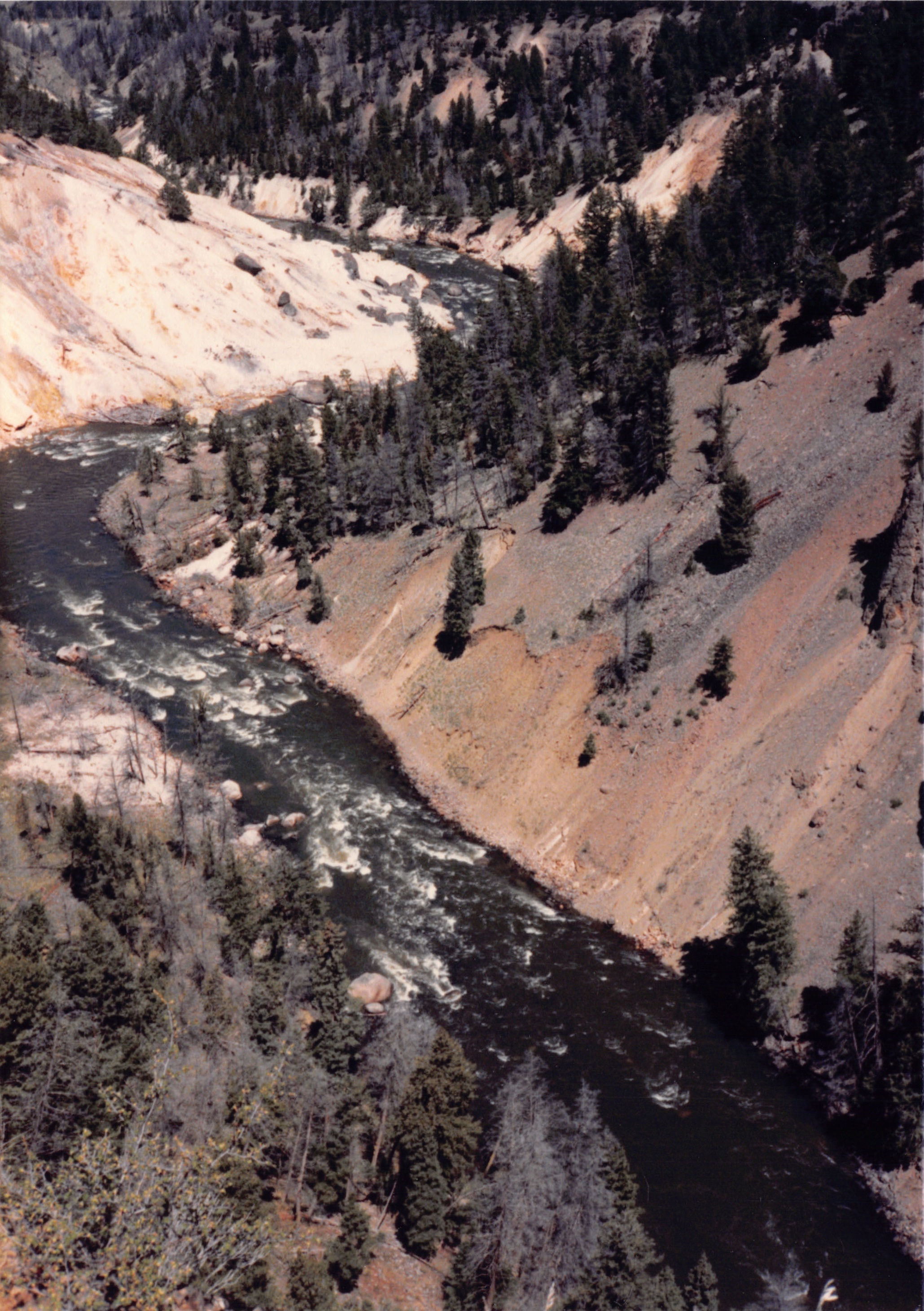 1988_019.jpg