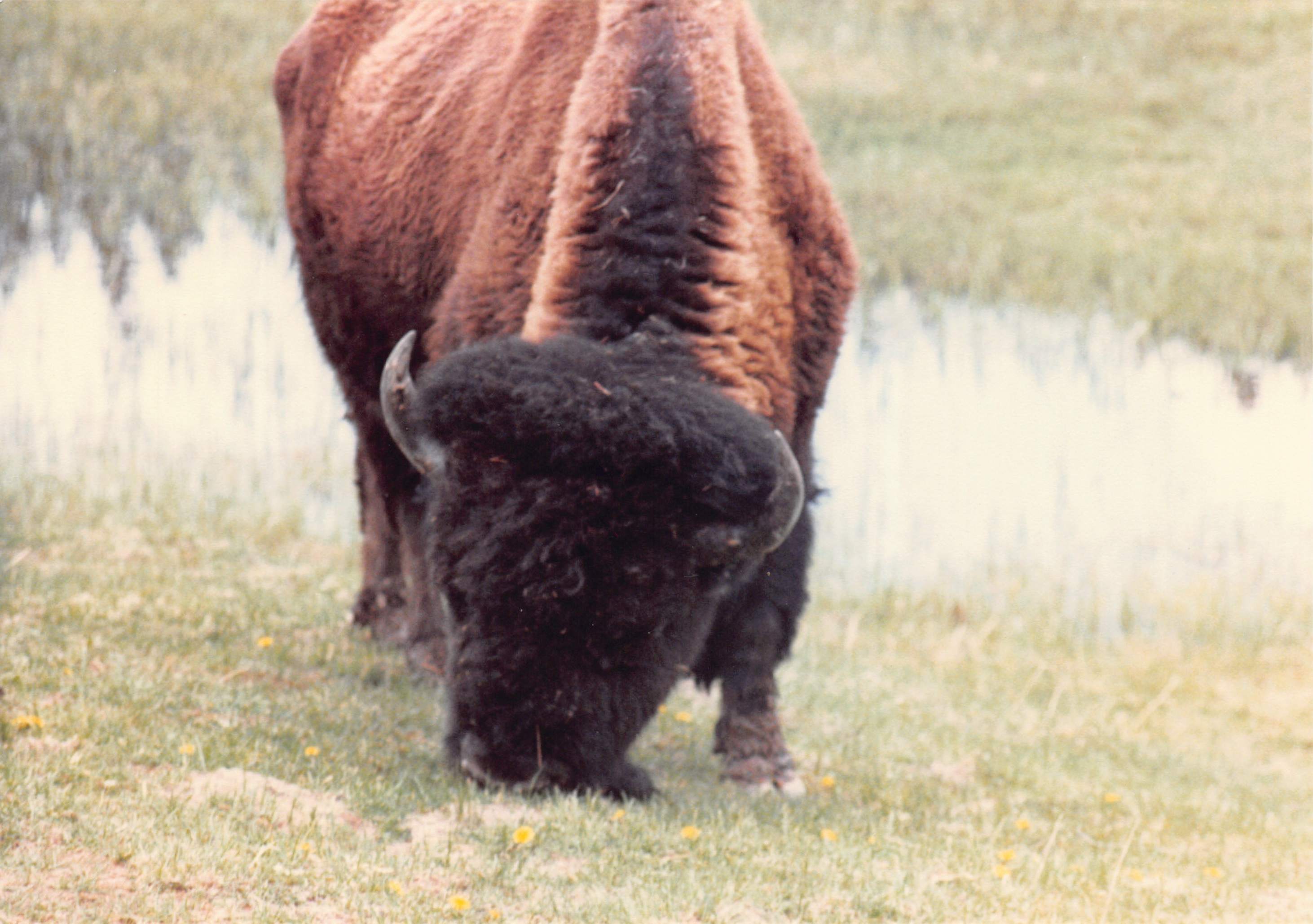 1988_022.jpg