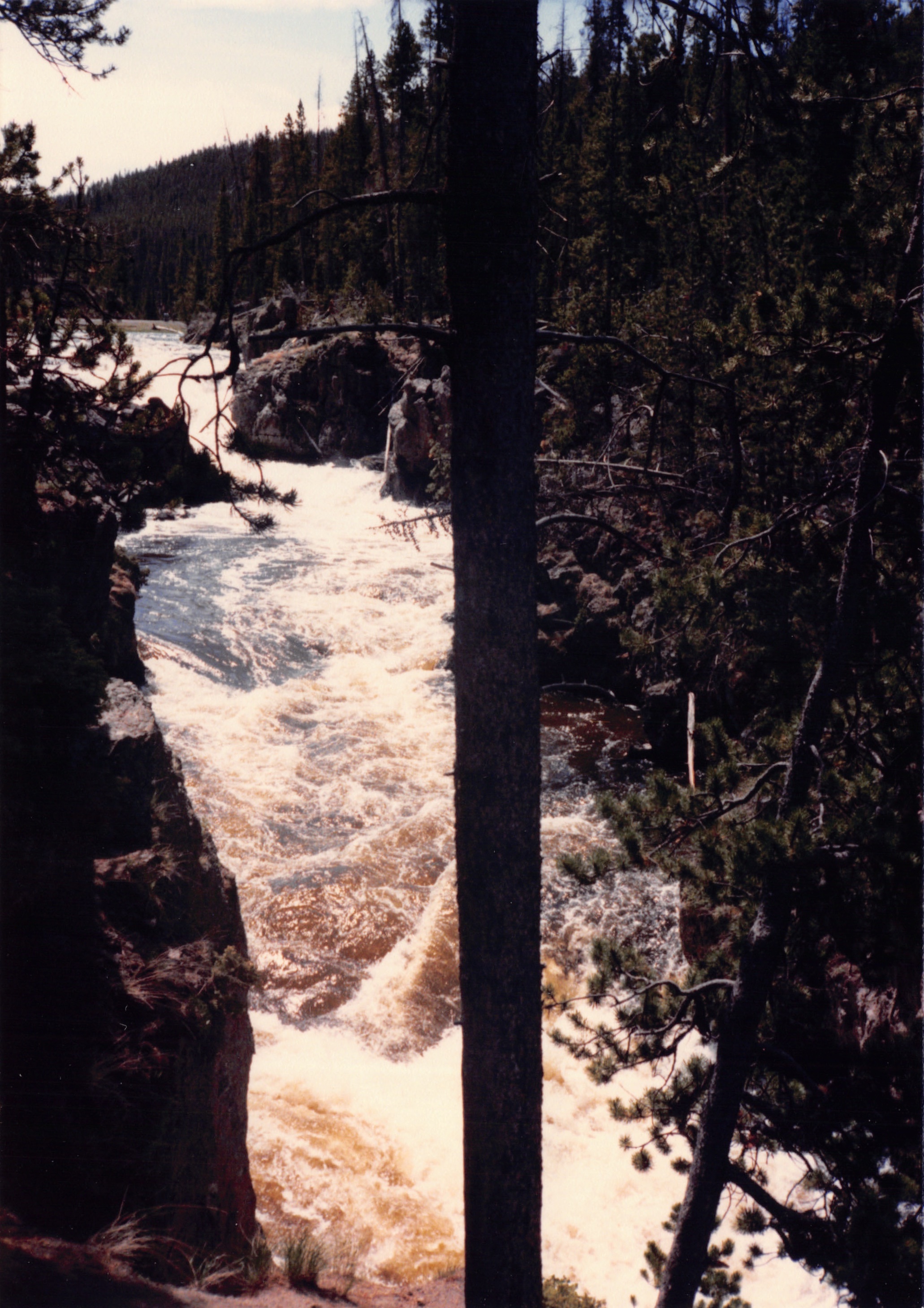 1988_064.jpg