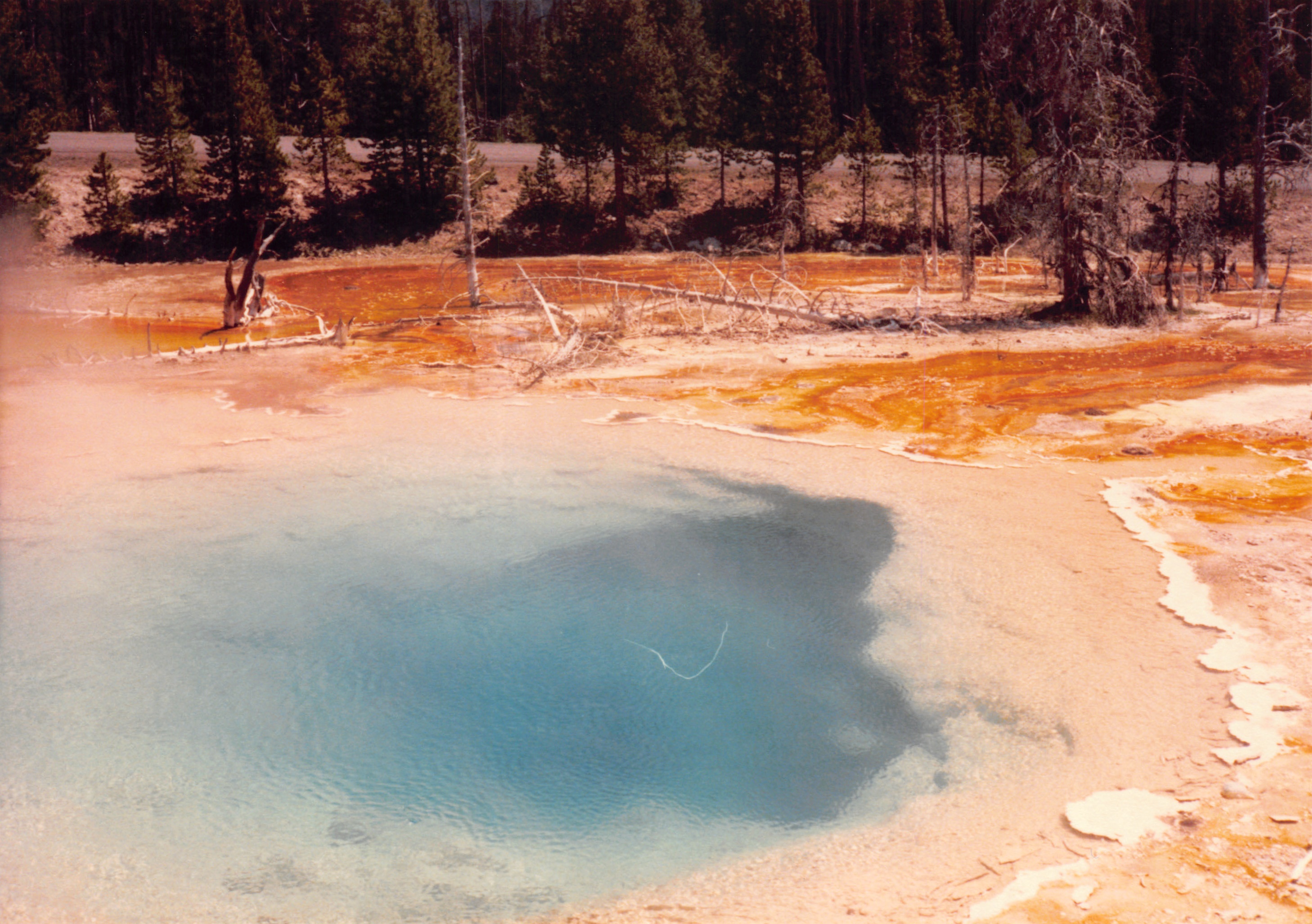 1988_071.jpg