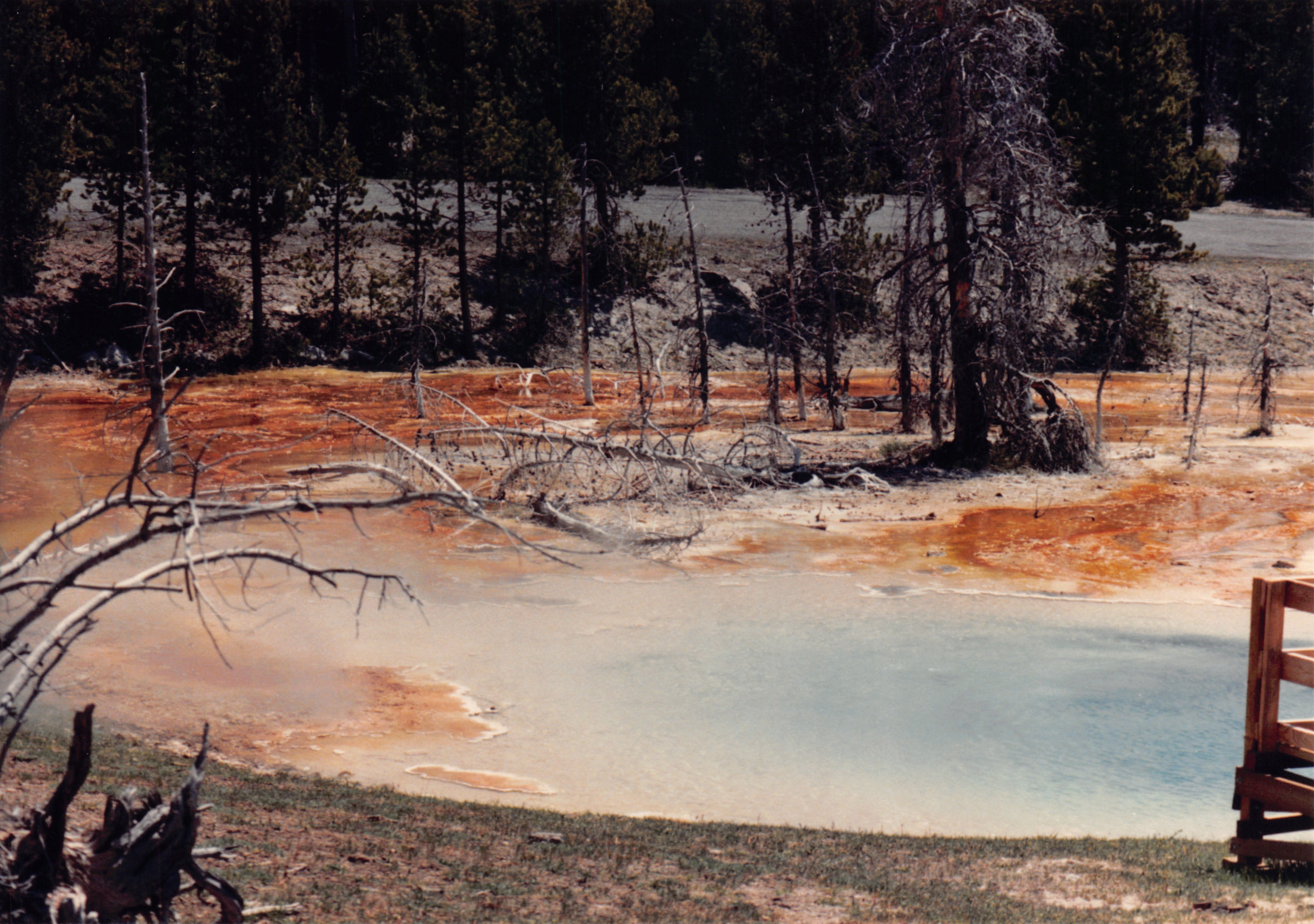 1988_072.jpg