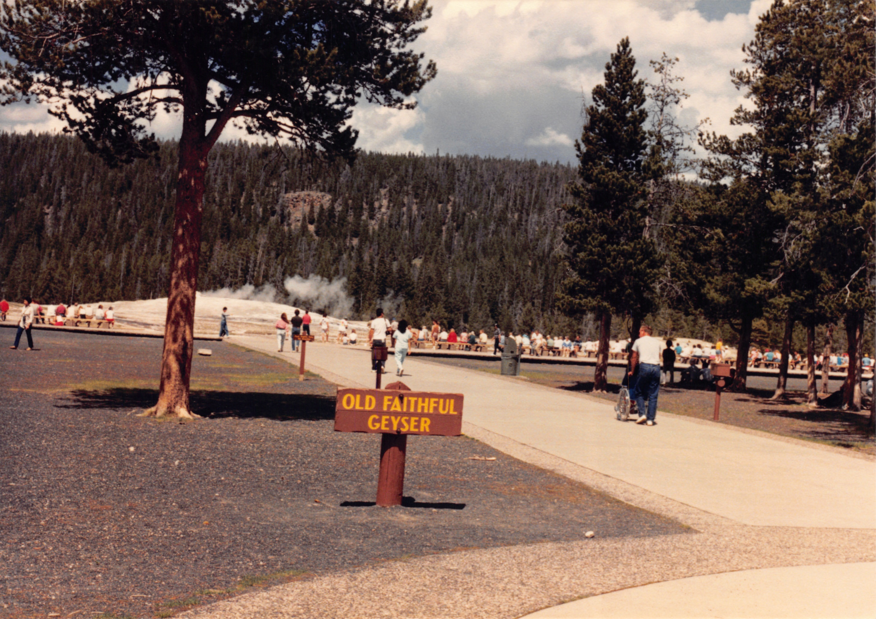1988_077.jpg
