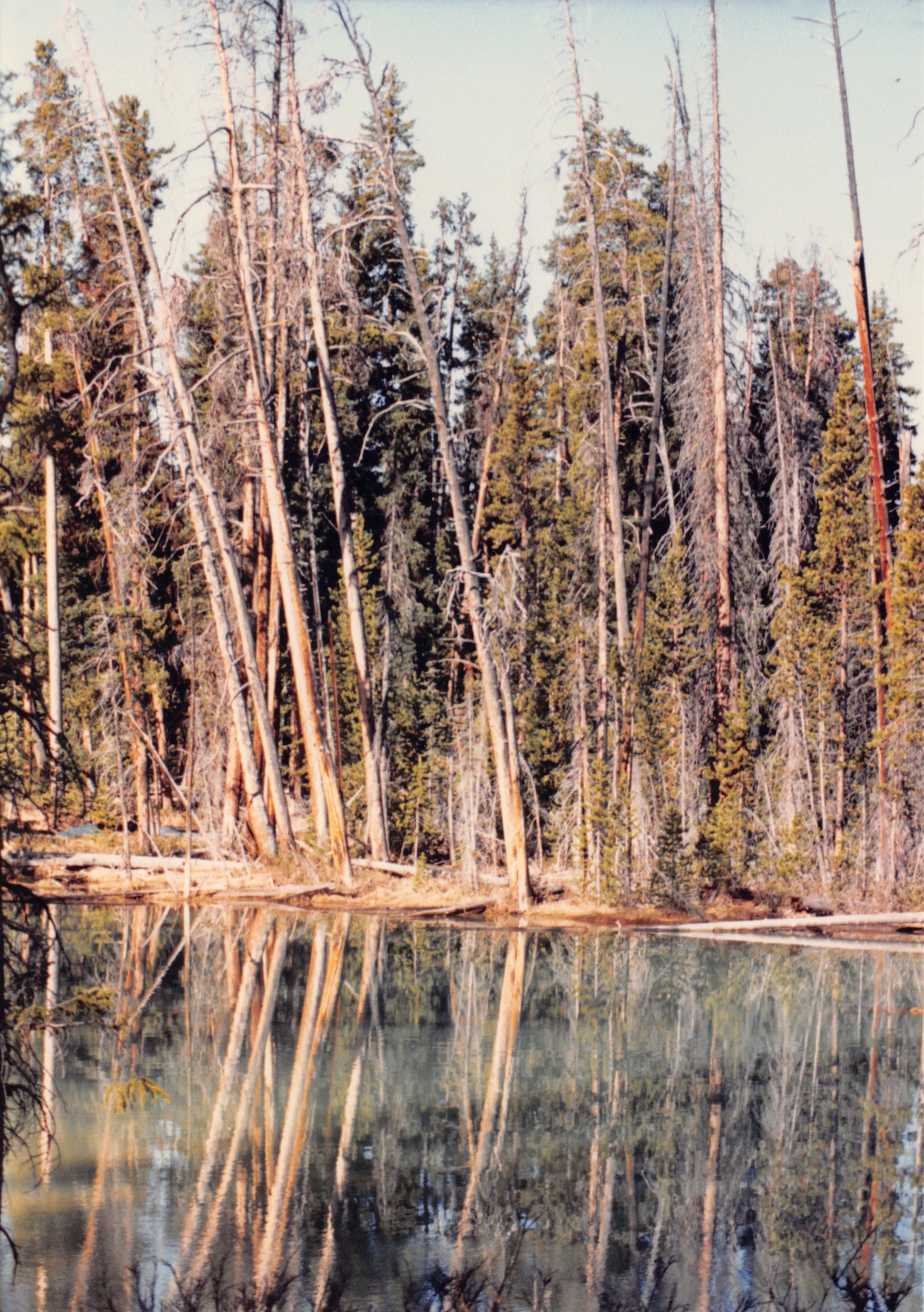 1988_084.jpg