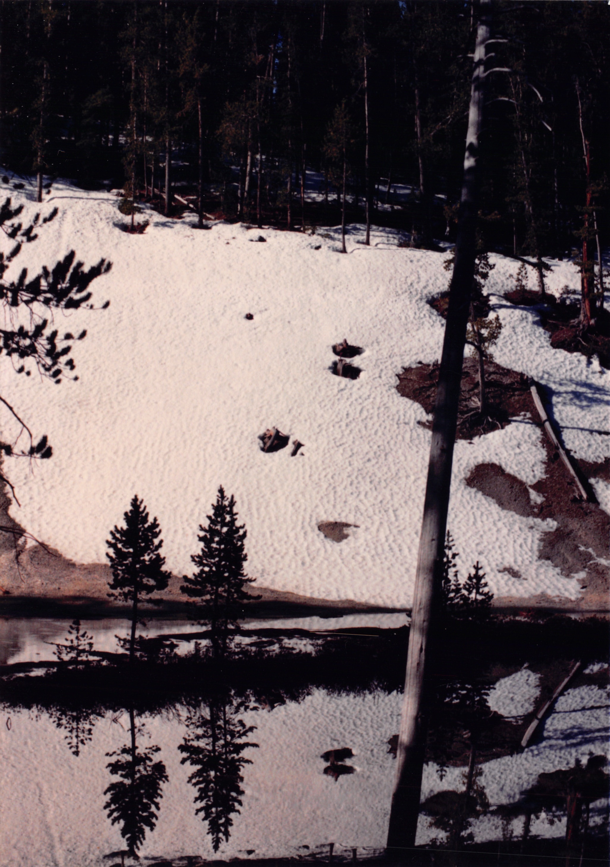 1988_086.jpg