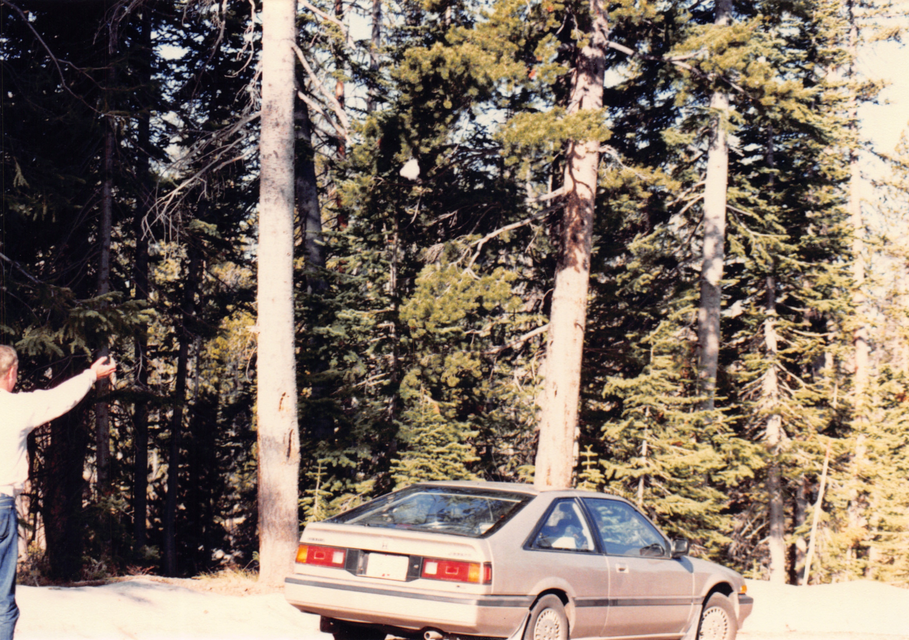 1988_087.jpg