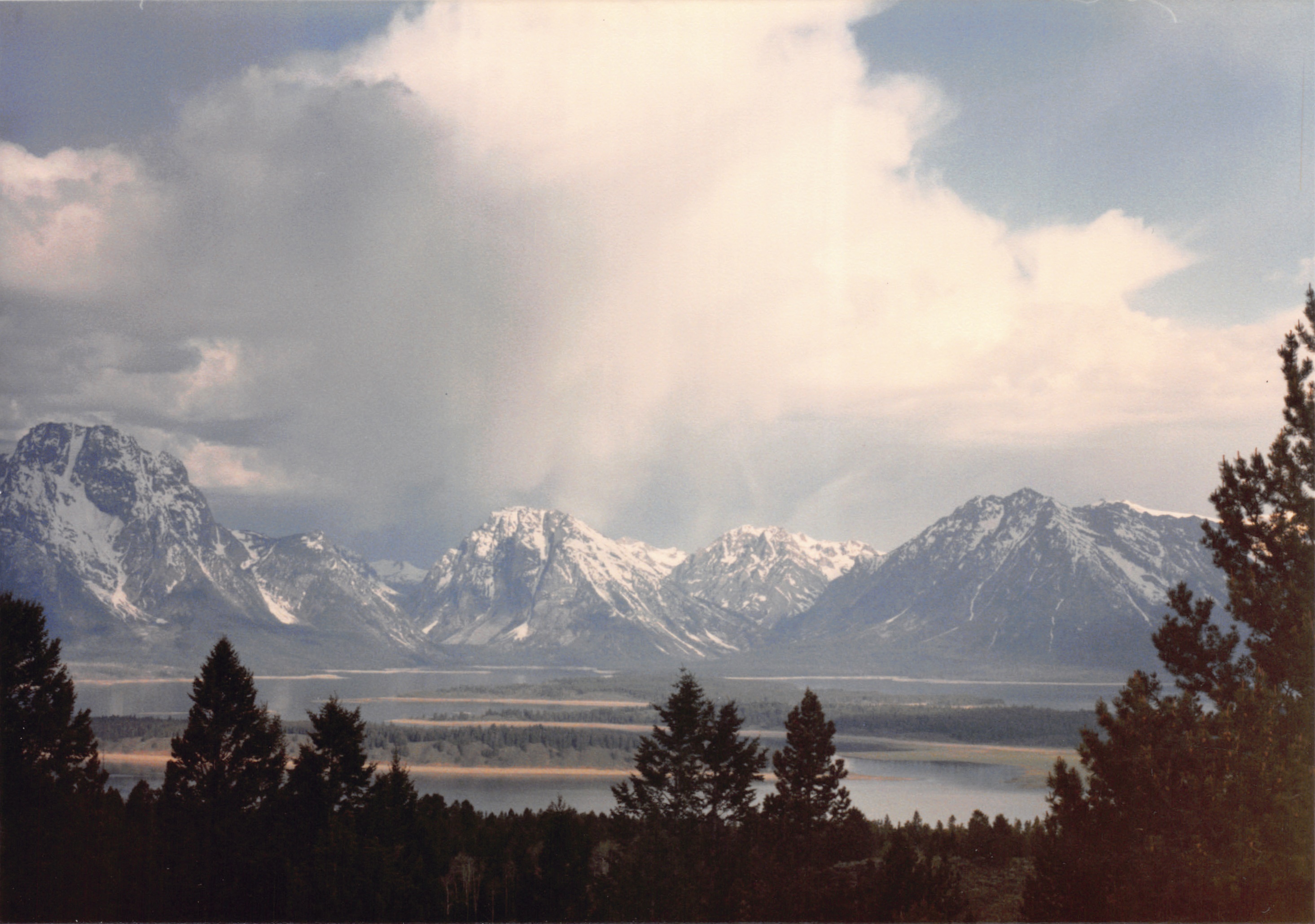 1988_100.jpg