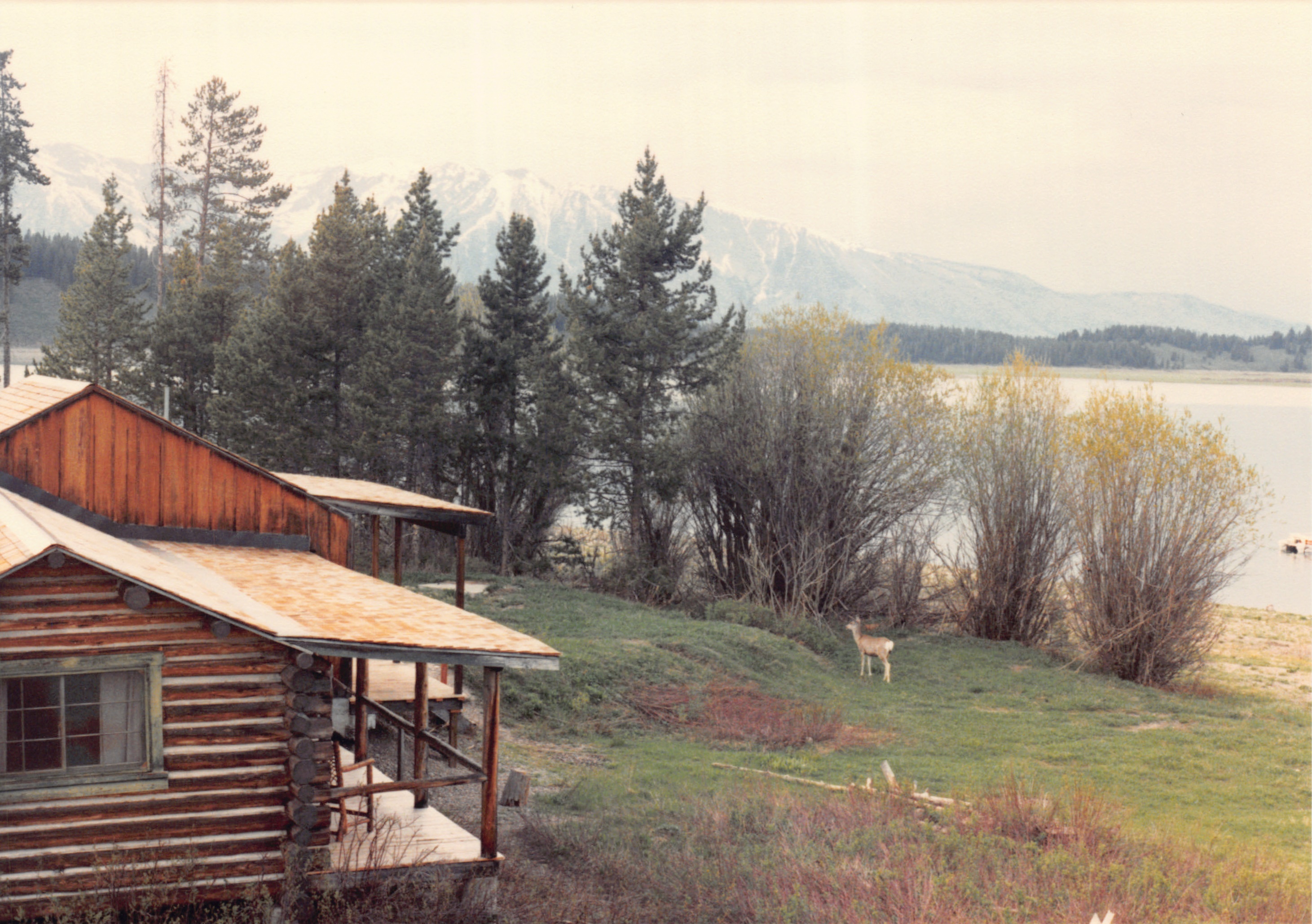 1988_107.jpg