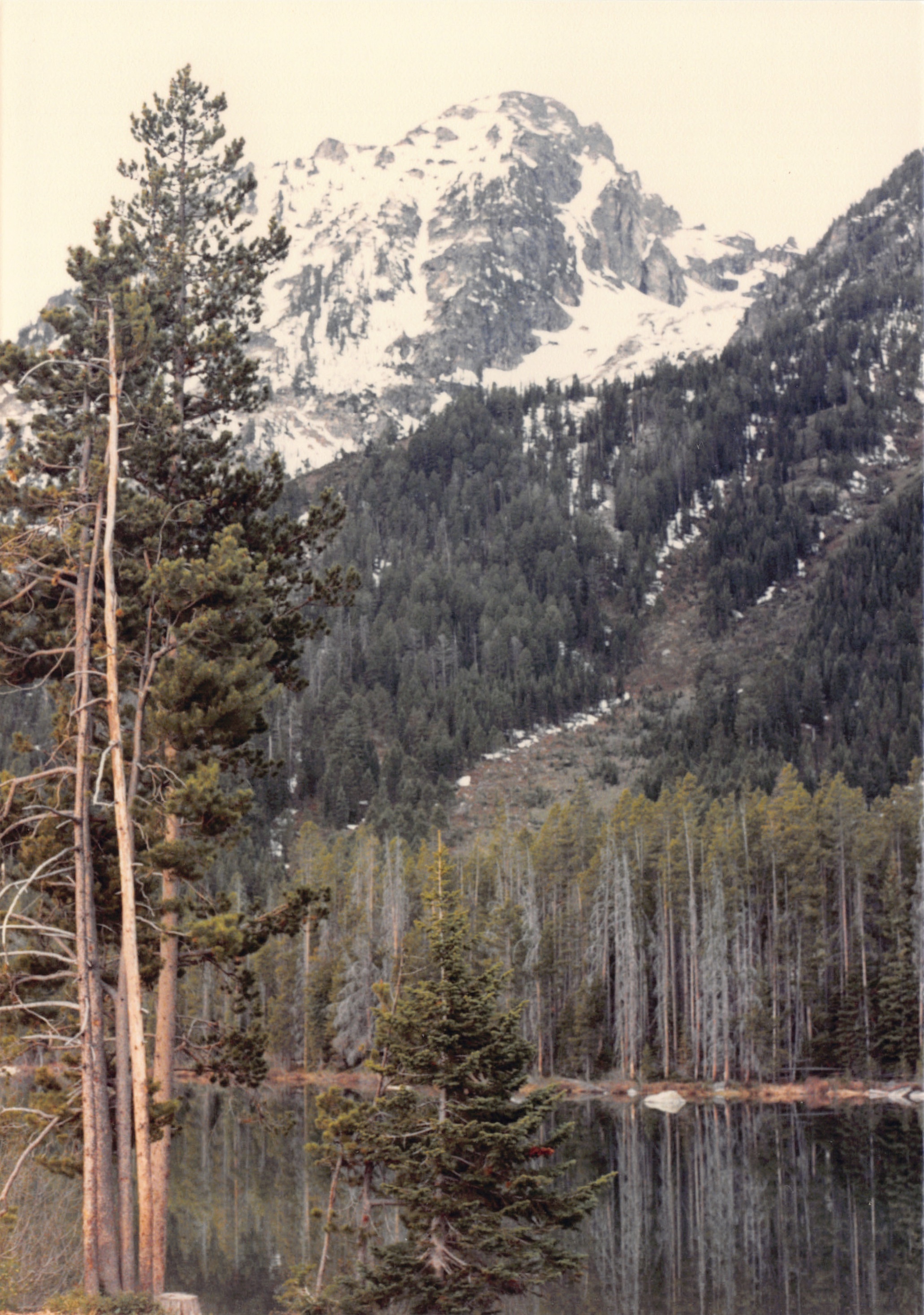 1988_116.jpg