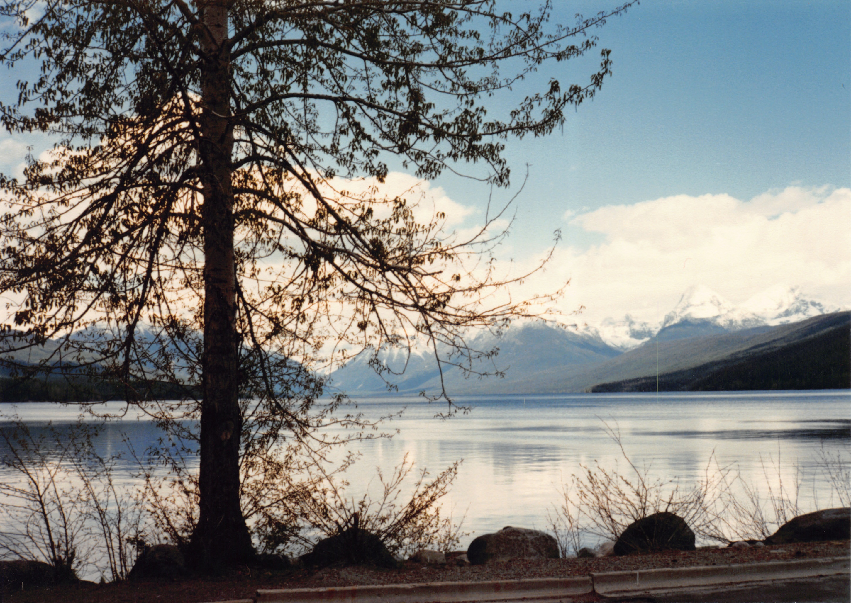 1989_14.jpg