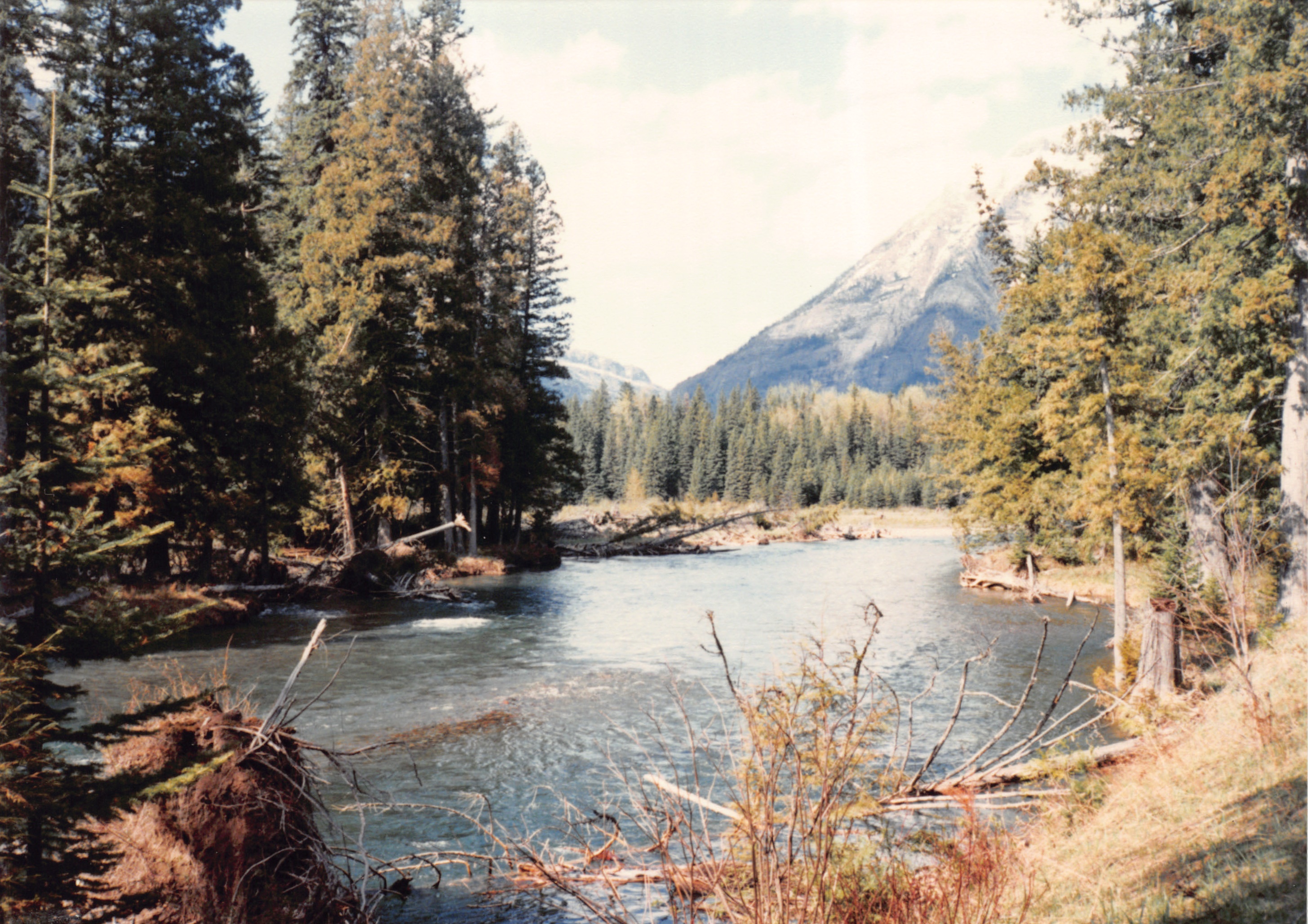 1989_16.jpg