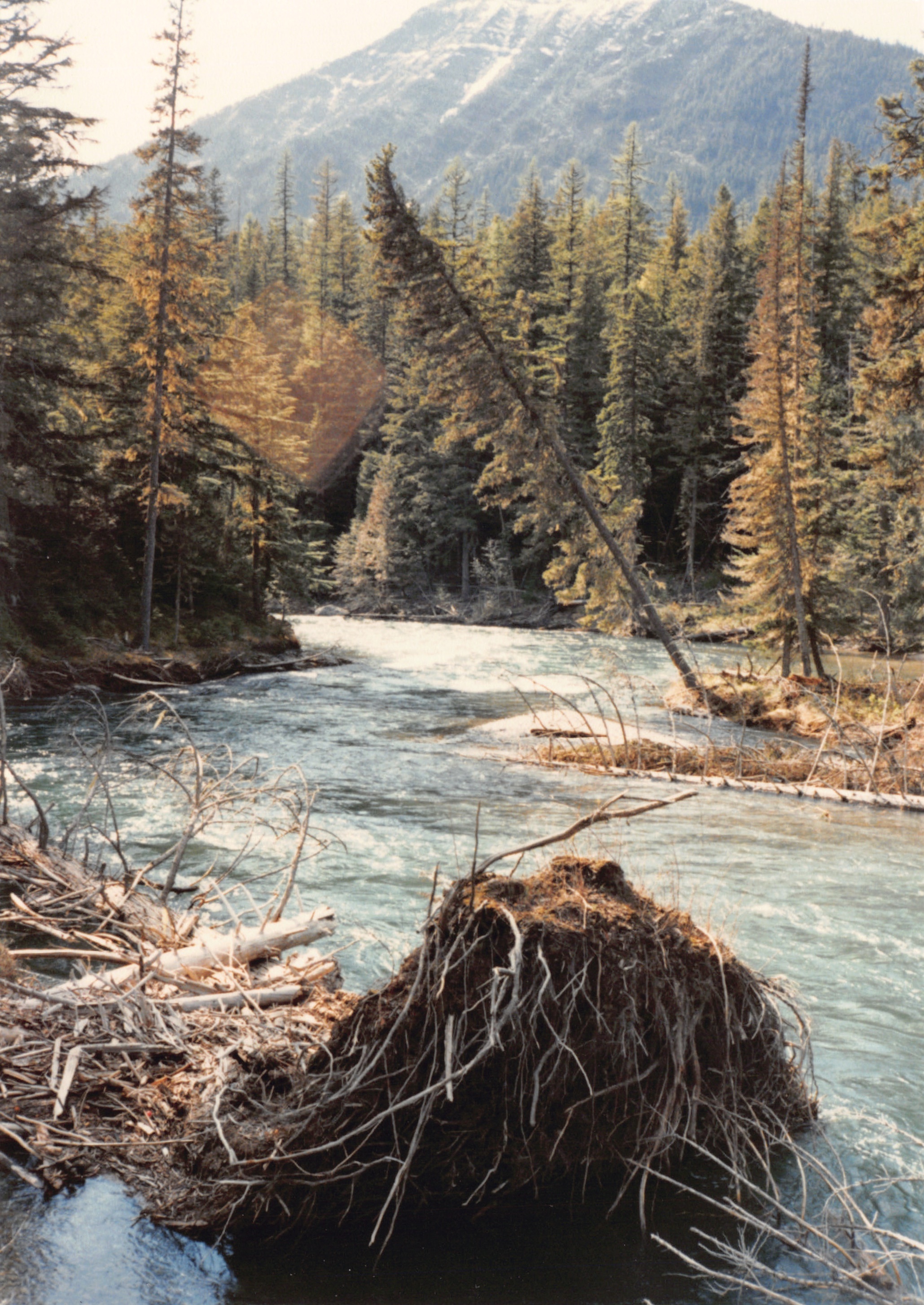1989_17.jpg