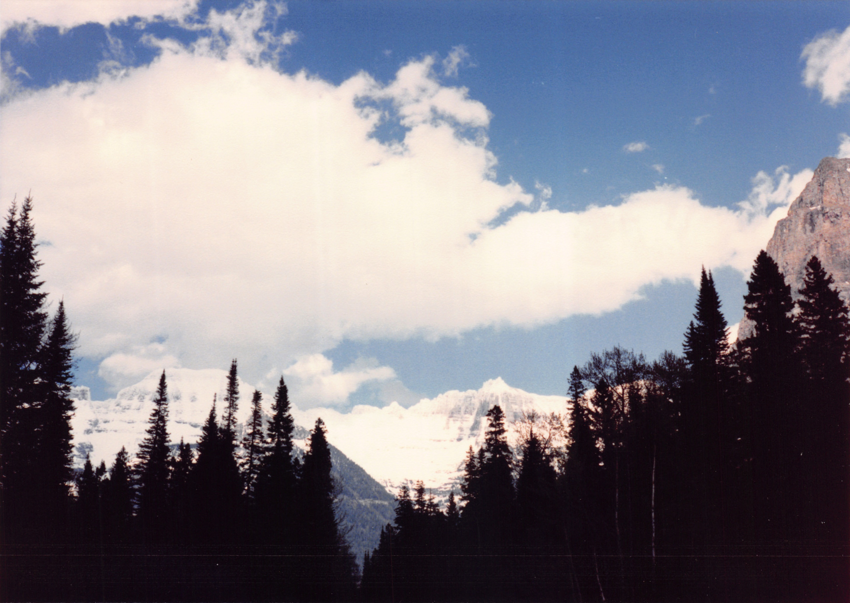 1989_22.jpg
