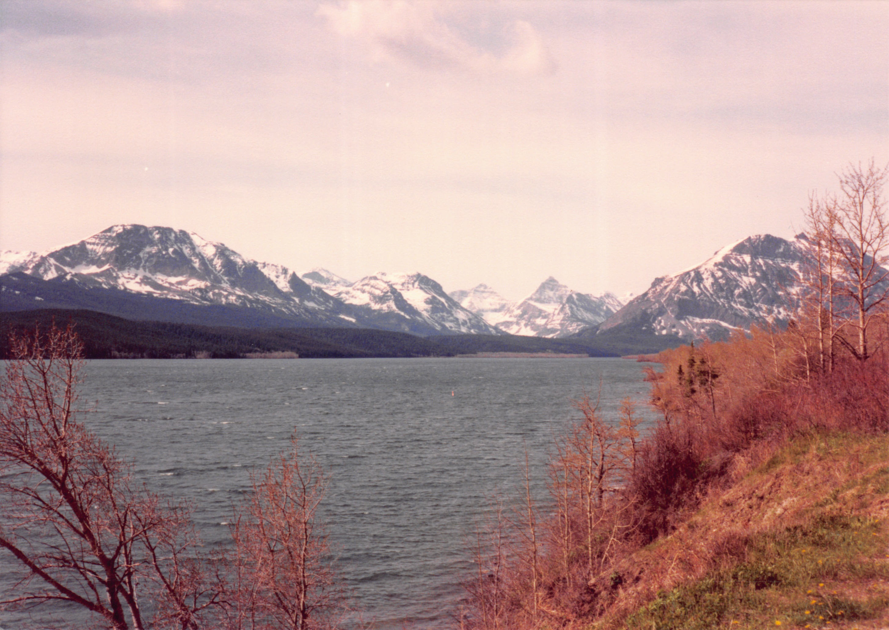1989_31.jpg