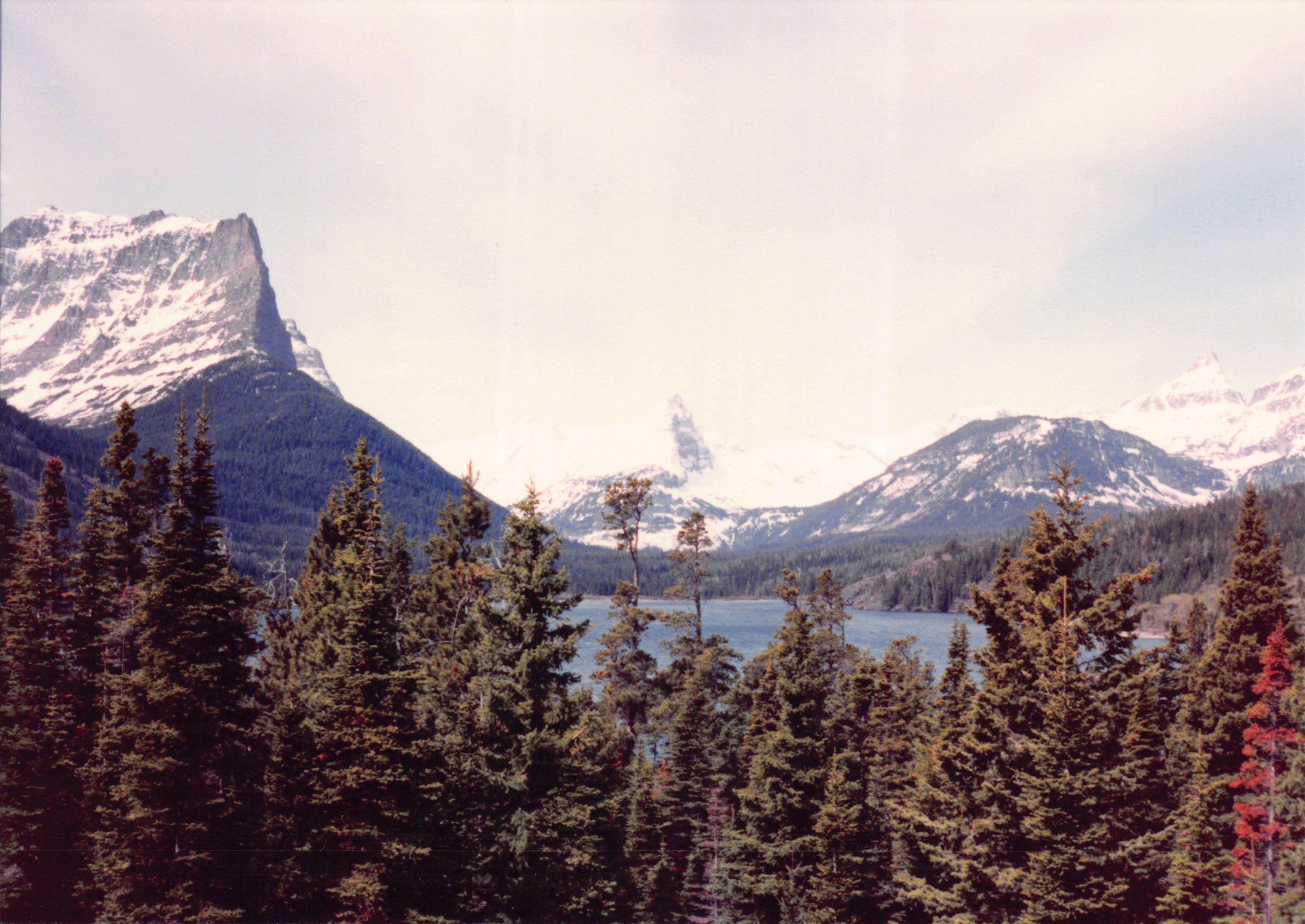 1989_33.jpg