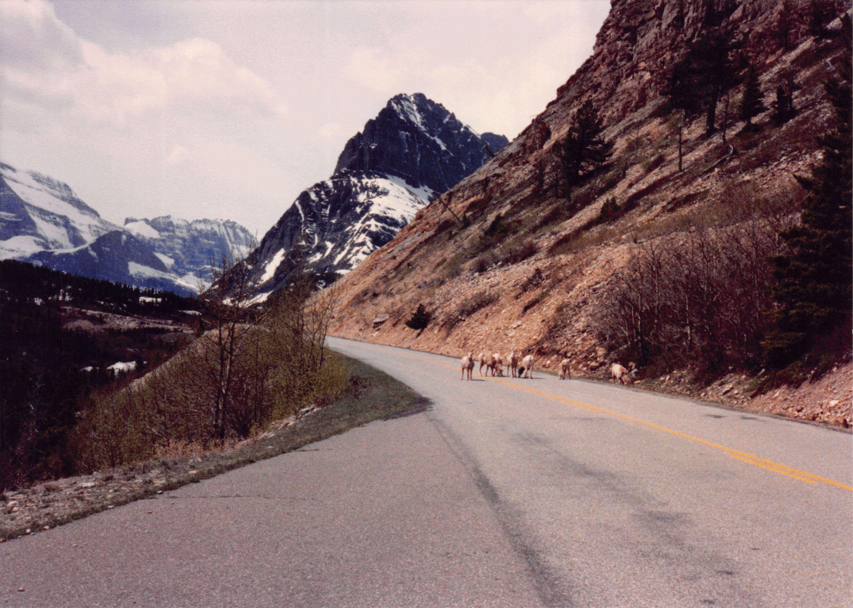 1989_34.jpg