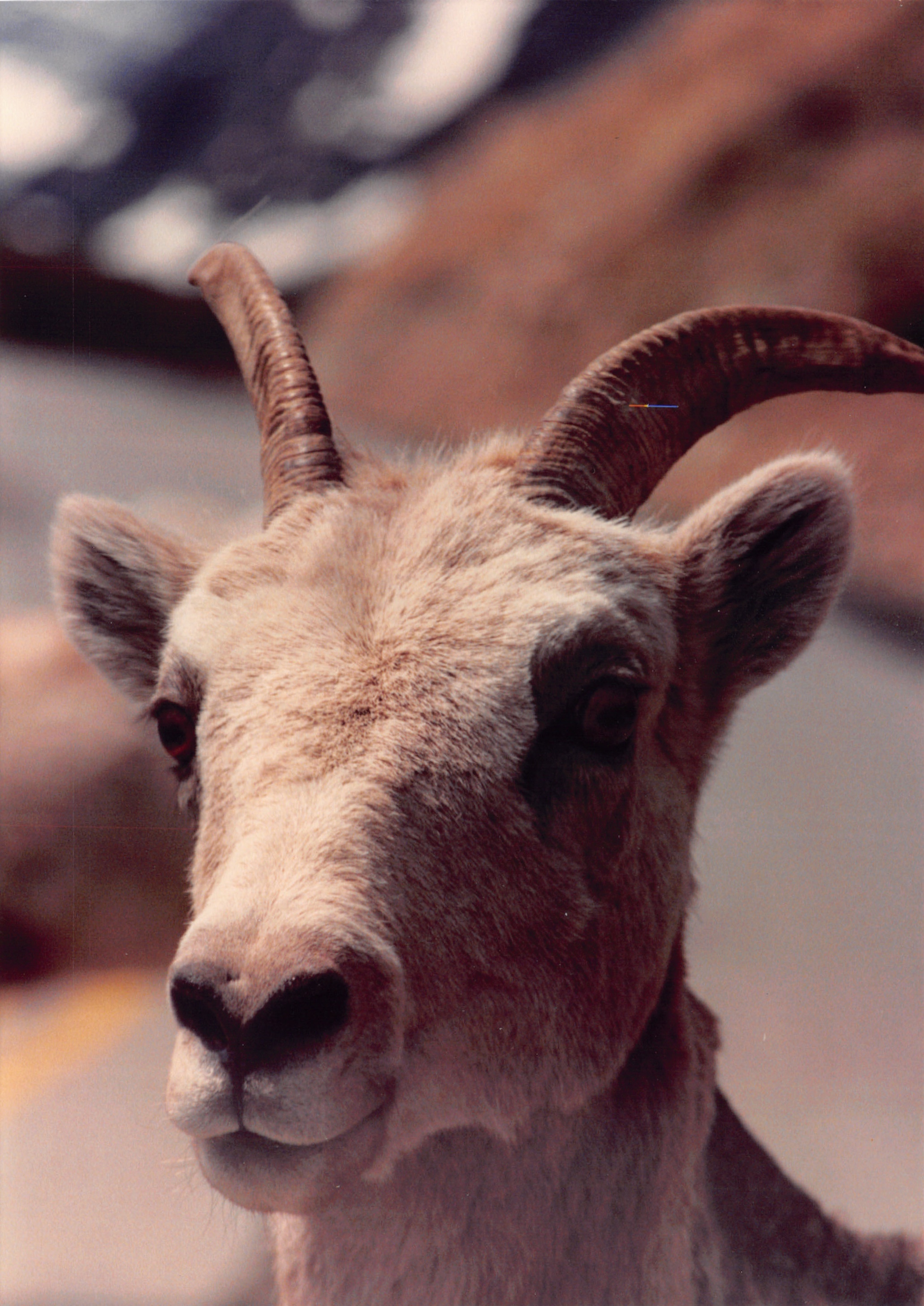 1989_35.jpg